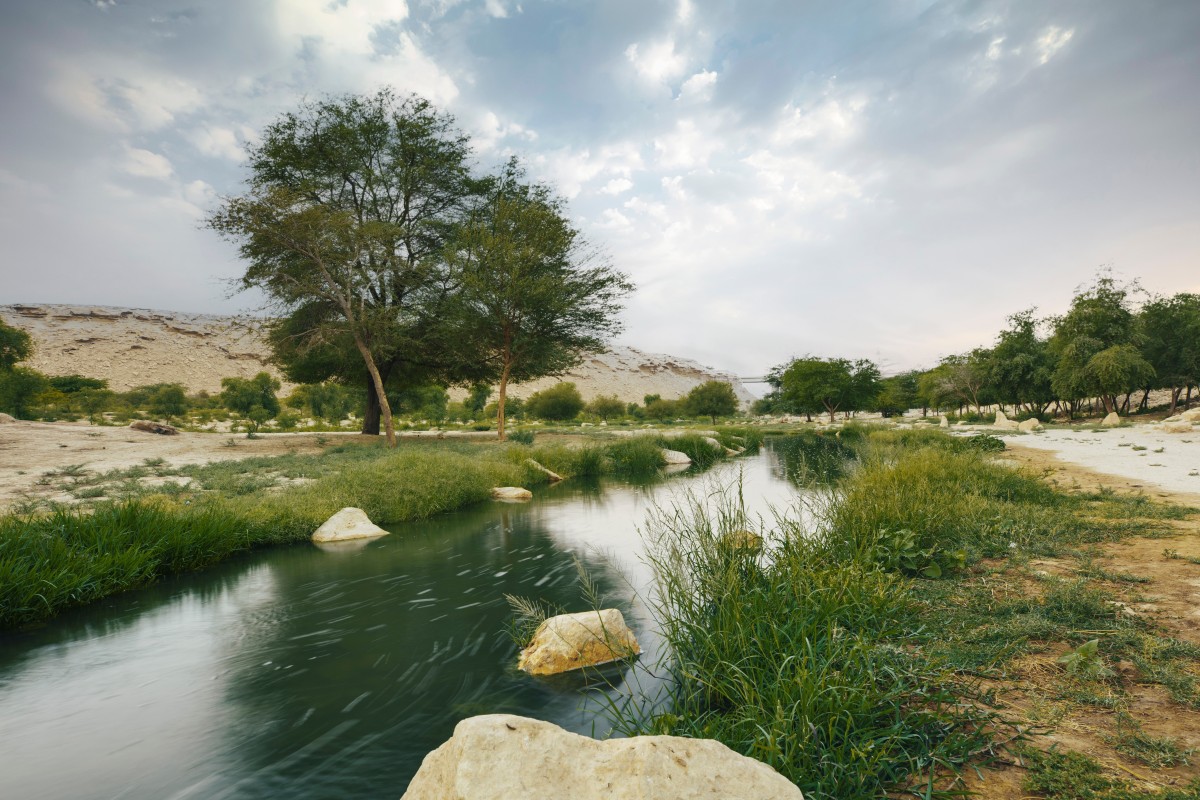 The hike through Wadi Hanifah is a blissful escape to nature in the middle of bustling Riyadh.