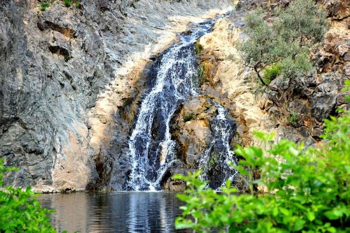 Waterfalls and forests await you in Khairah Forest Park