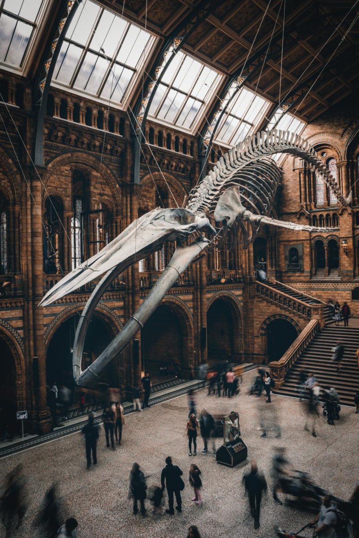 Natural History Museum, London 
