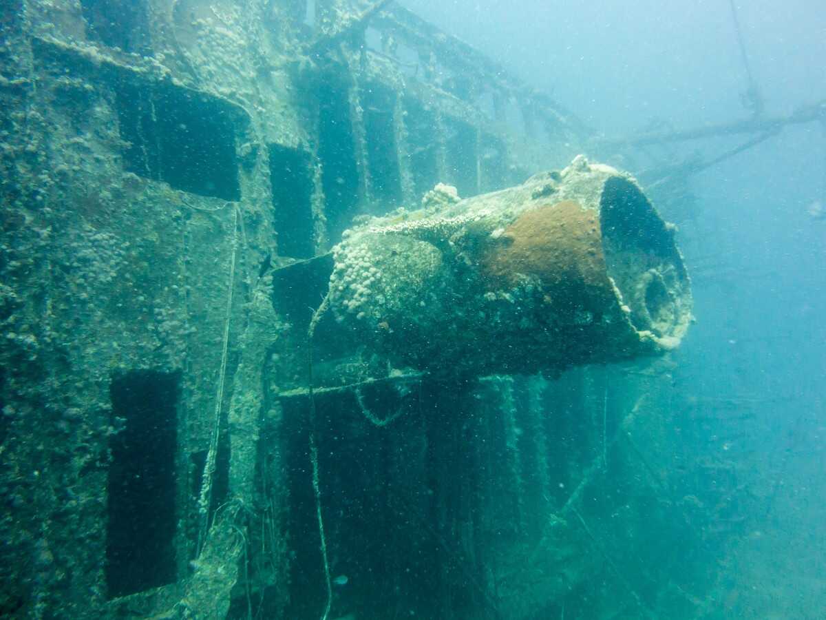Chicken Wreck is a great option for inexperienced divers