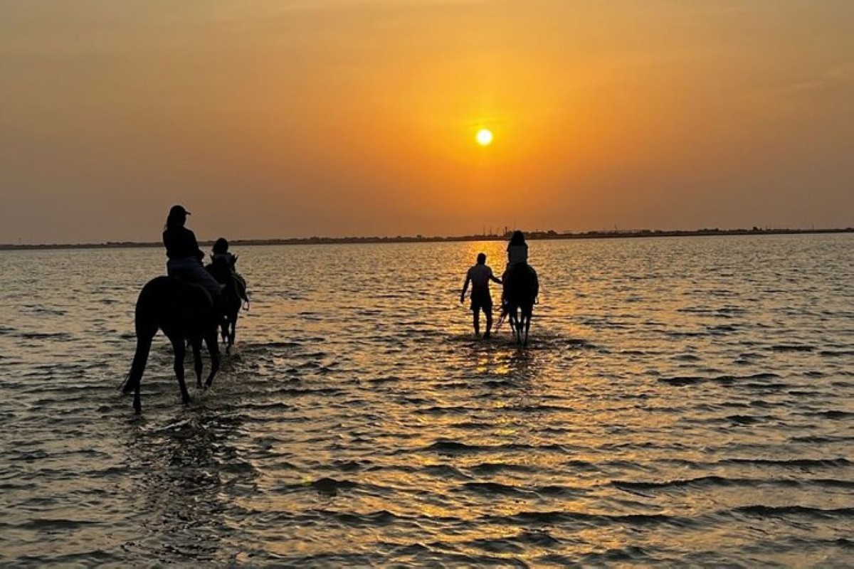 Create lifelong memories with a horse ride along Dhahban Beach