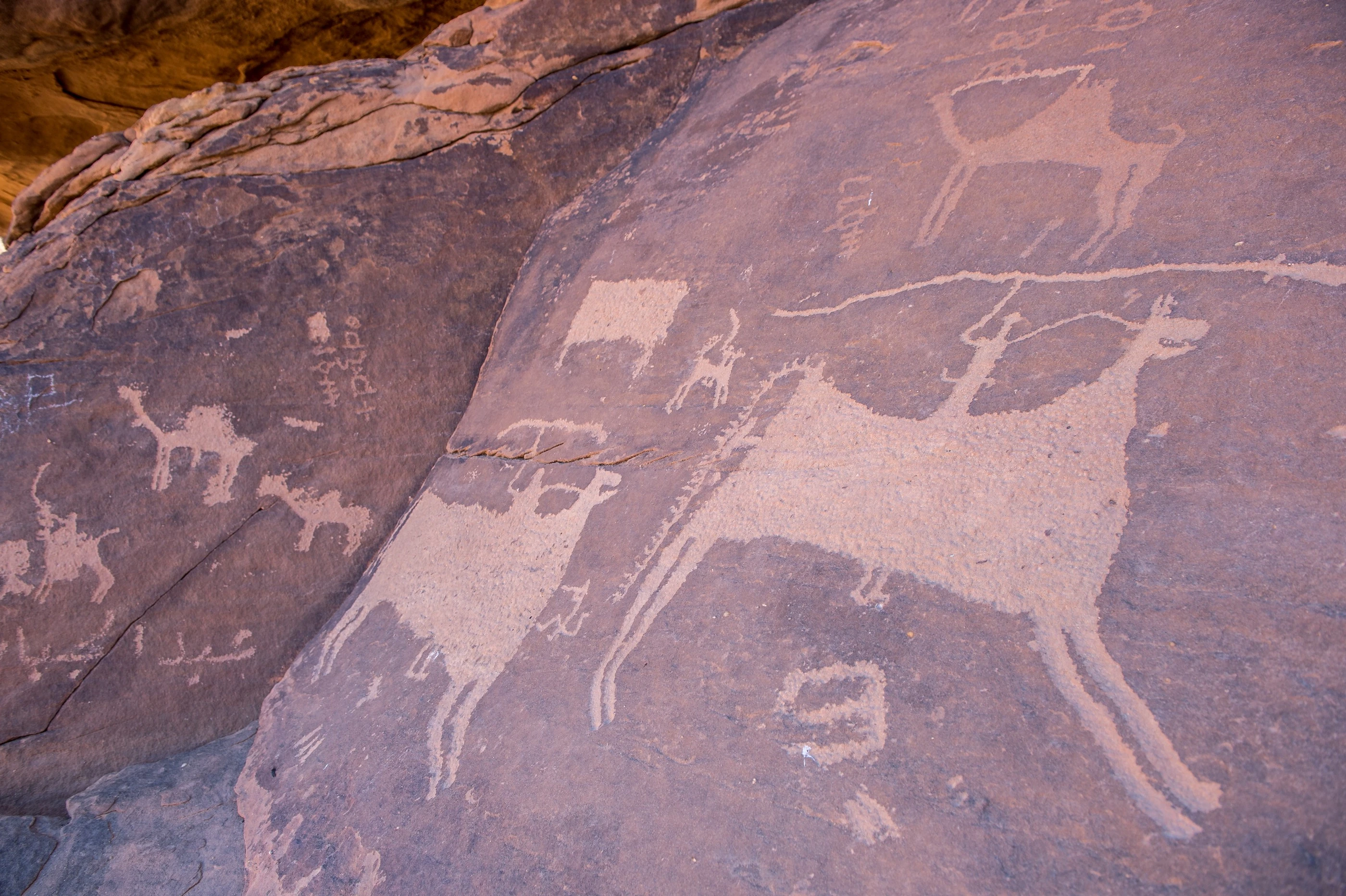 Rock art in Jubbah. Heritage Commission