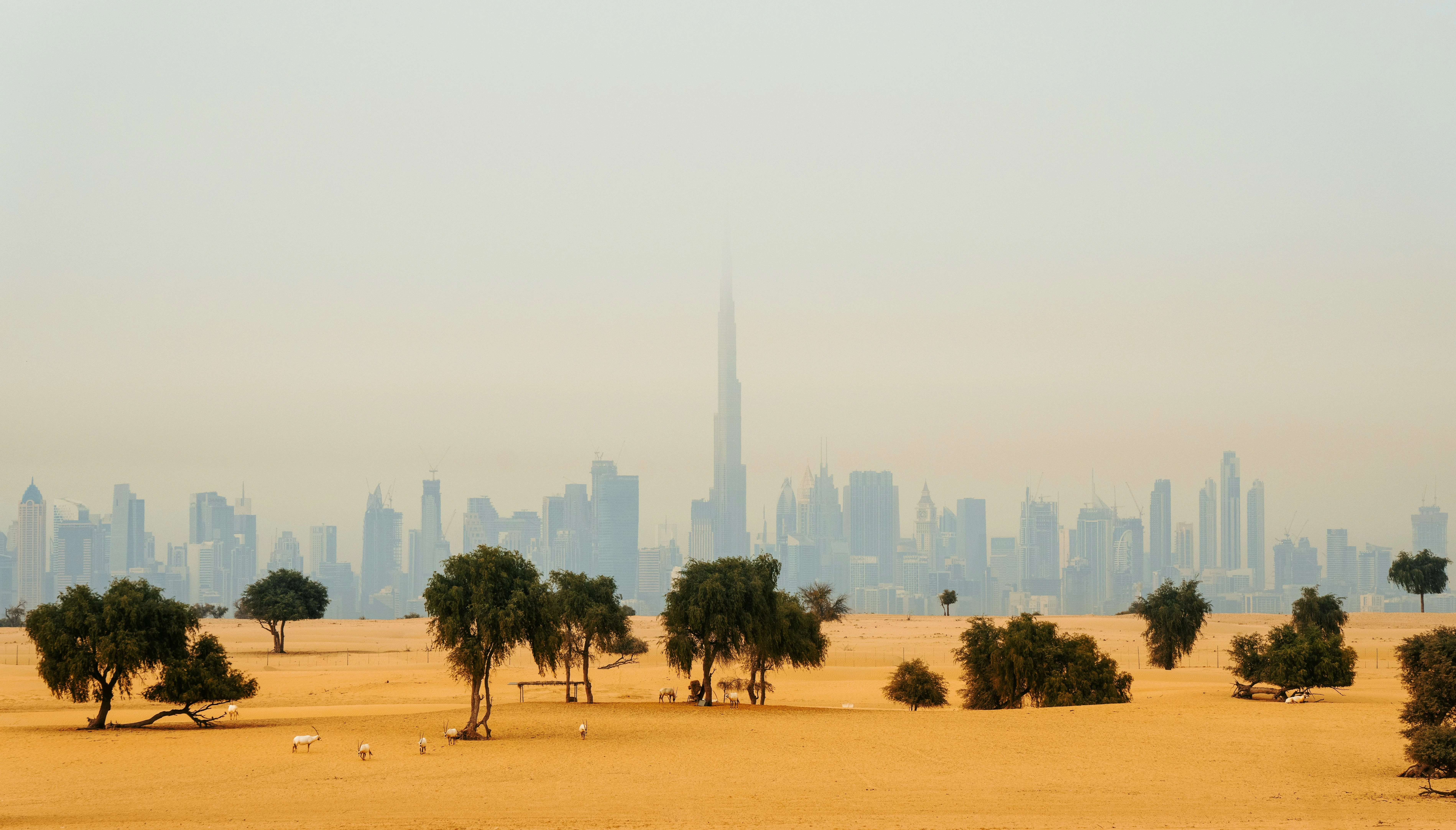A view of the Dubai skyline from the desert. Ahmed Galal/Unsplash
