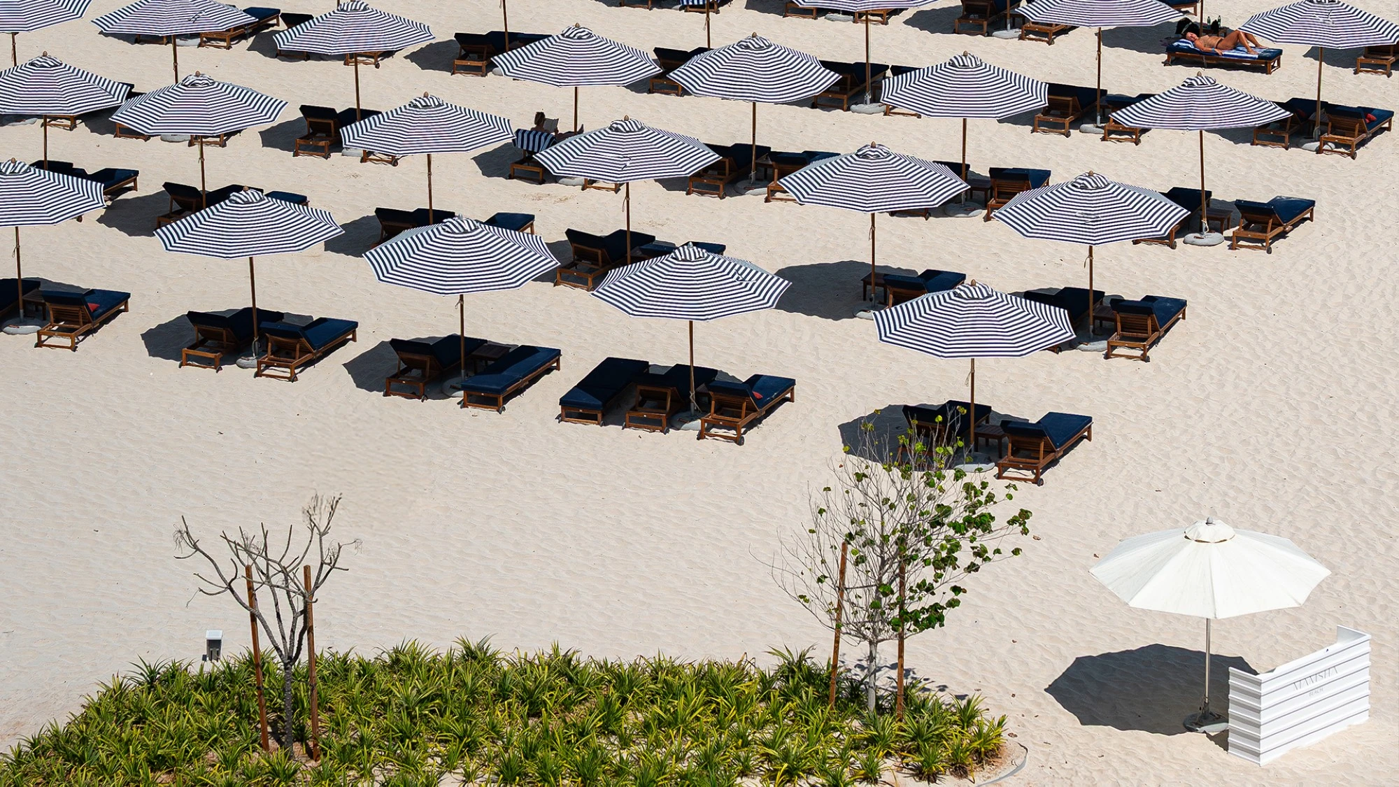 Mamsha Beach on Saadiyat Island