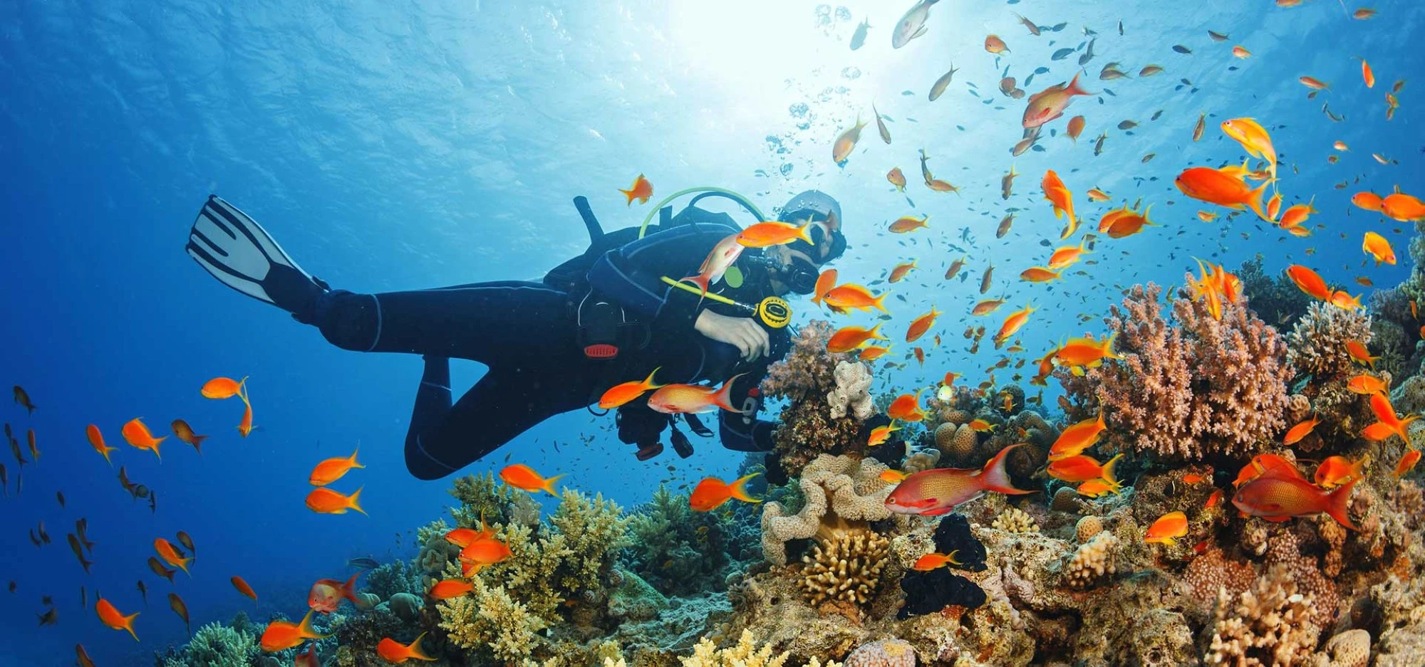 Ras al Khaimah diving. Al Jazeera Diving & Swimming Centre