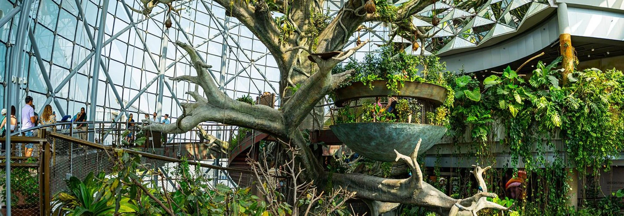 The Green Planet in Dubai