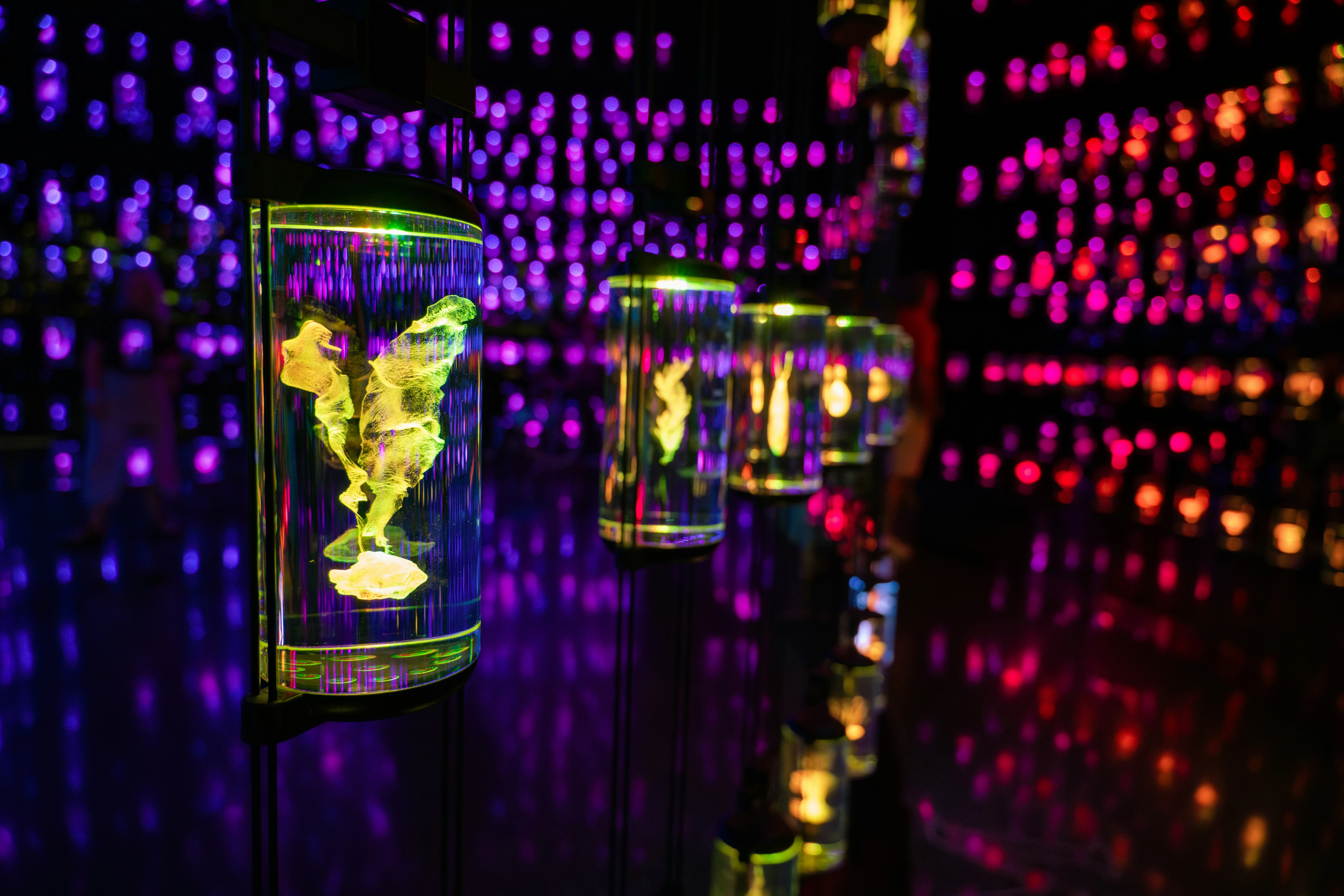 Museum of the Future. Unsplash