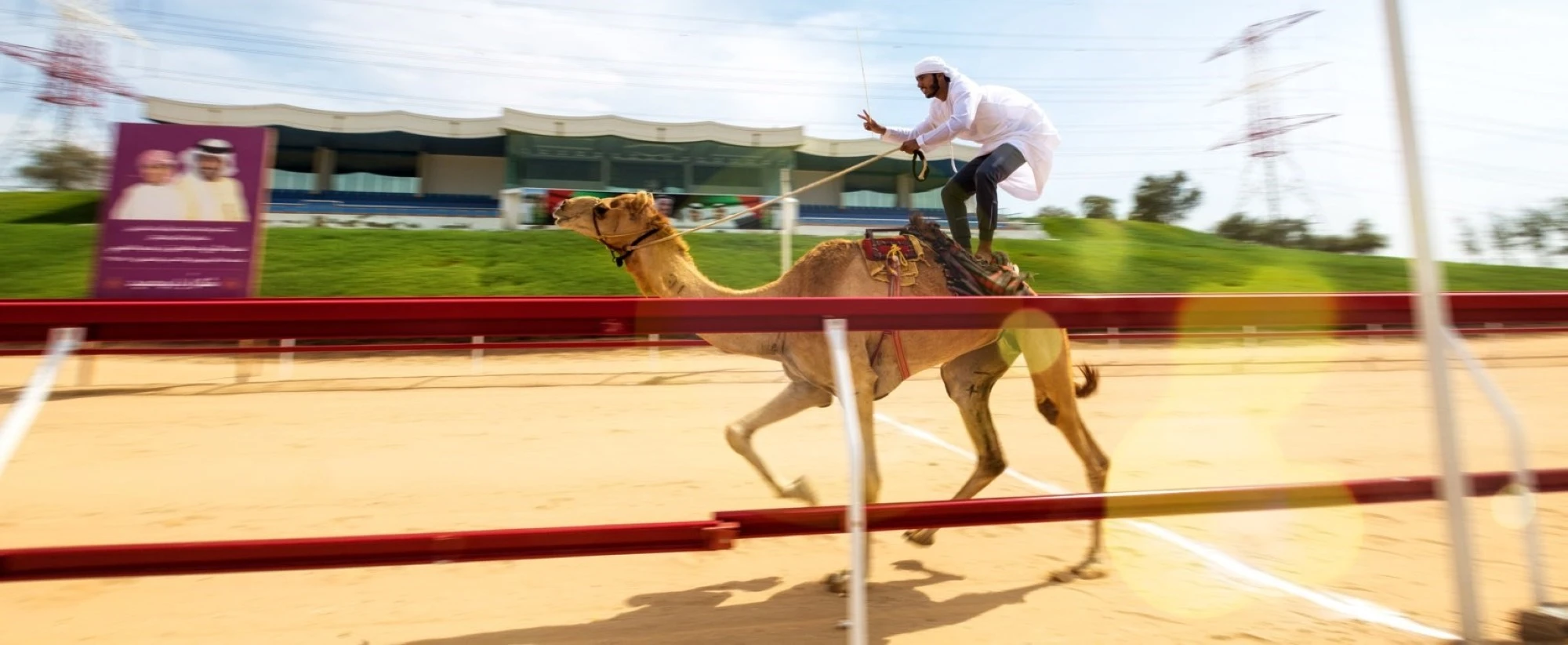 Al Tallah camel racing