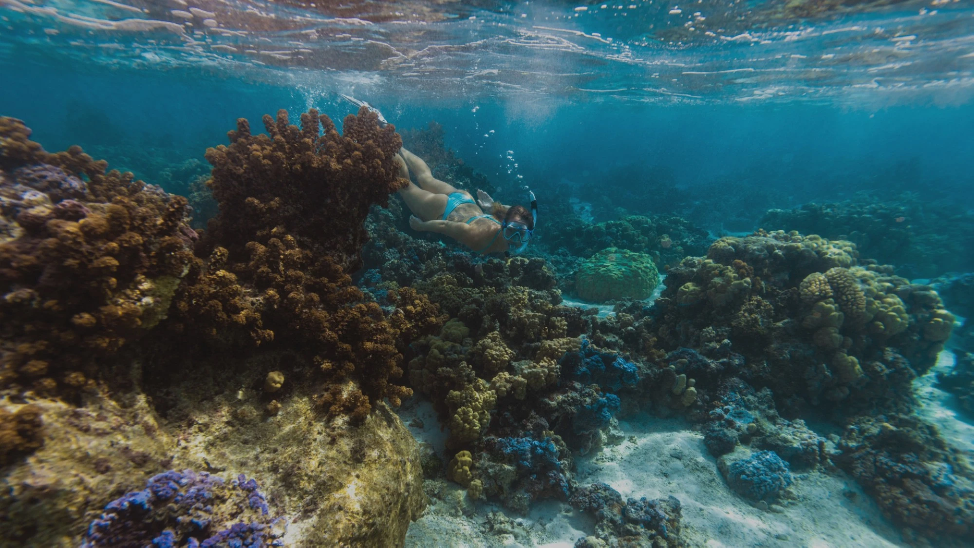 Snorkelling in Fujairah