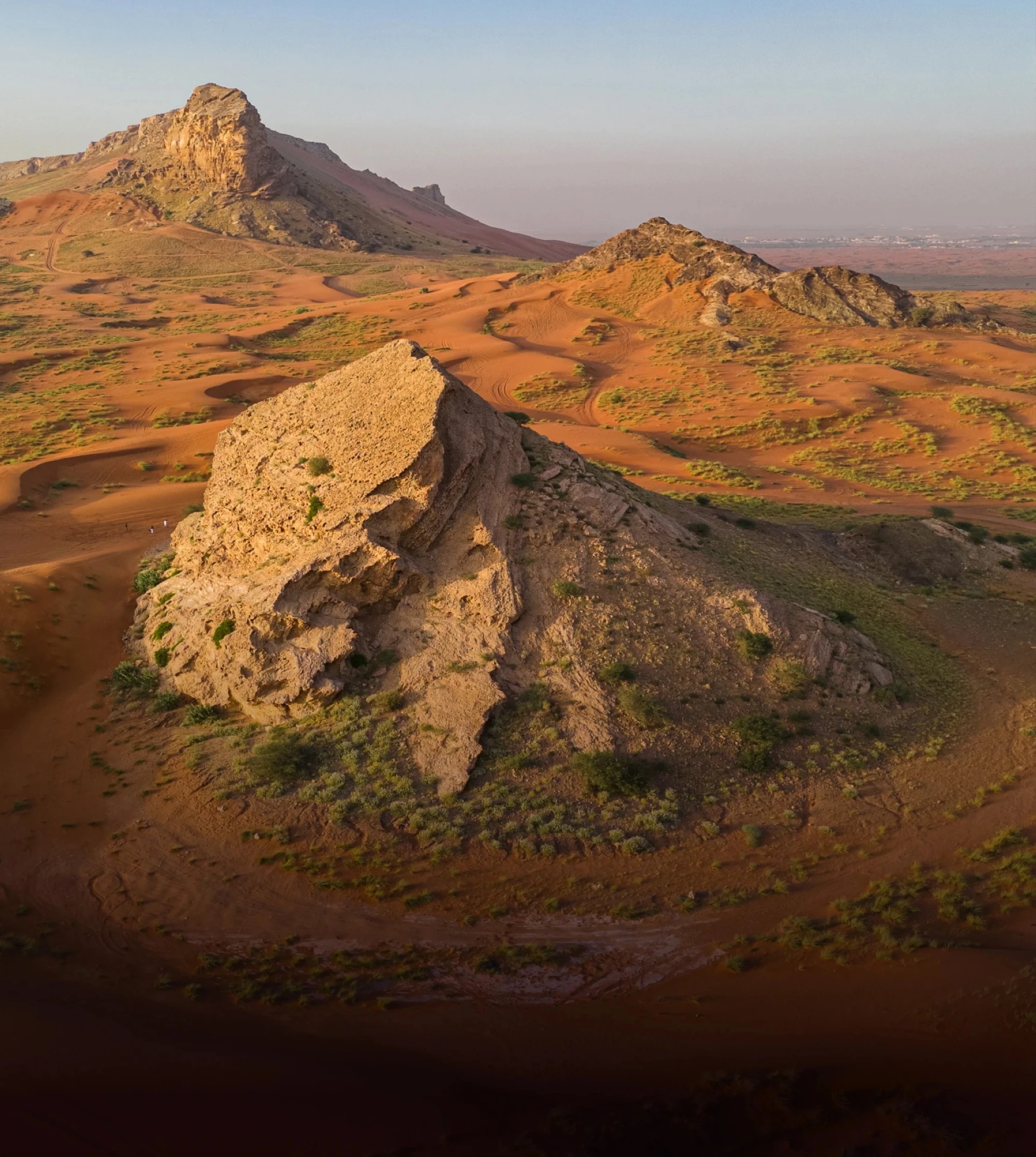Fossil Rock in Mleiha