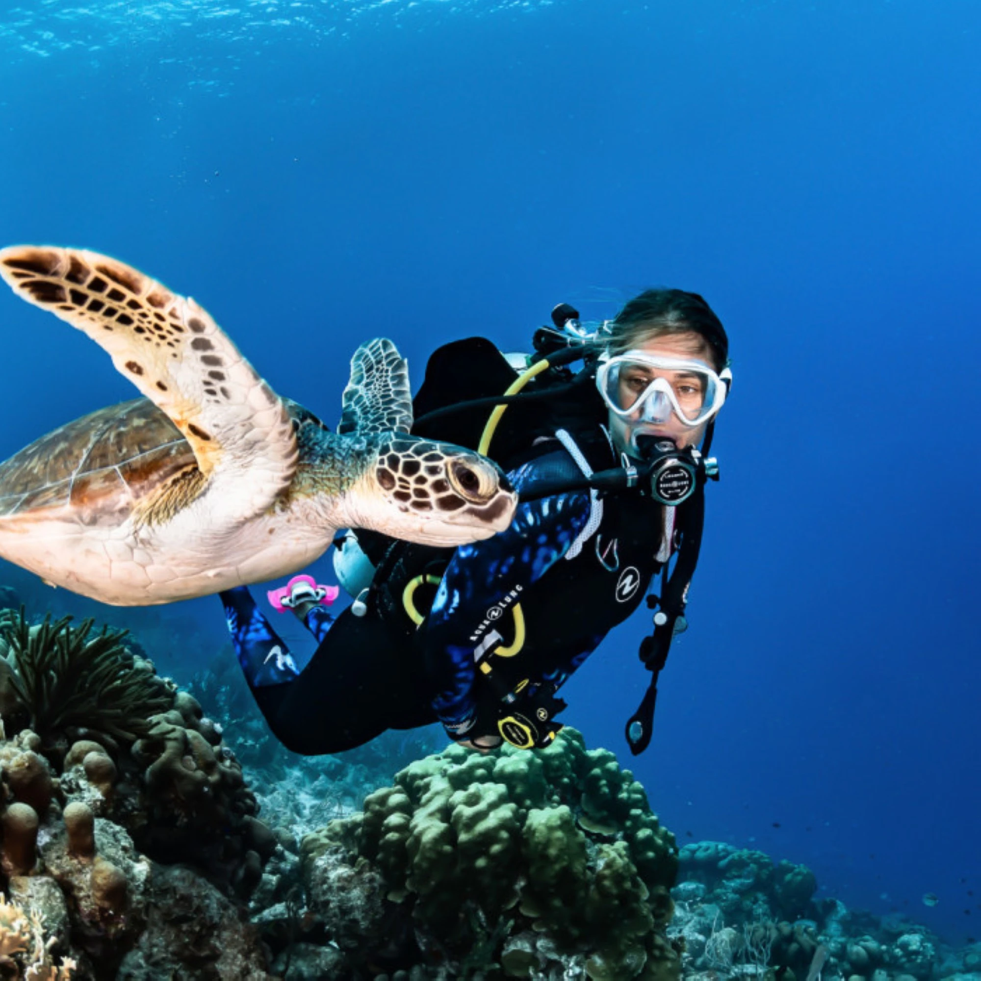 Scuba diving in Fujairah