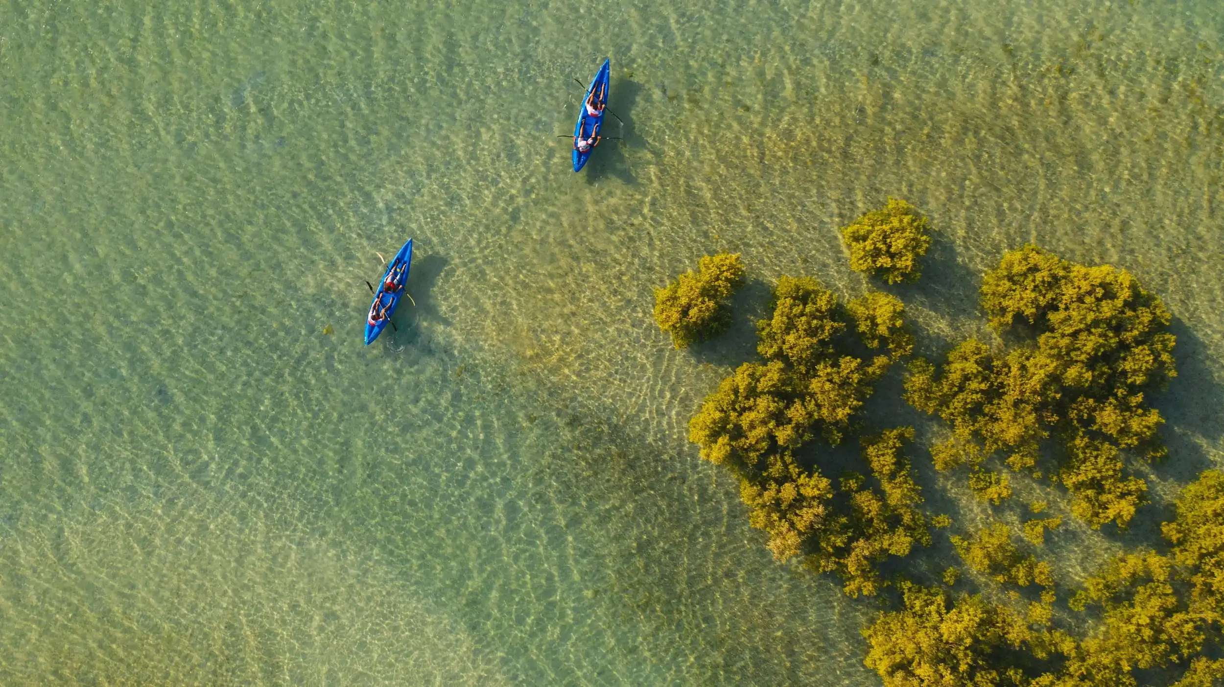 Kayaking off the coast of Sir Bani Yas Island. VisitAbuDhabi