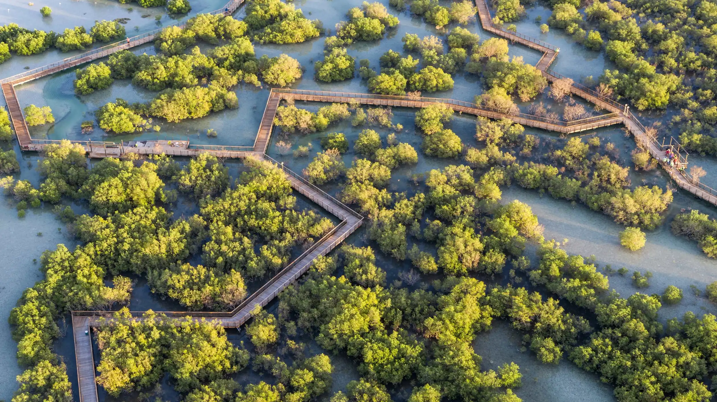 Jubail Mangrove Park 