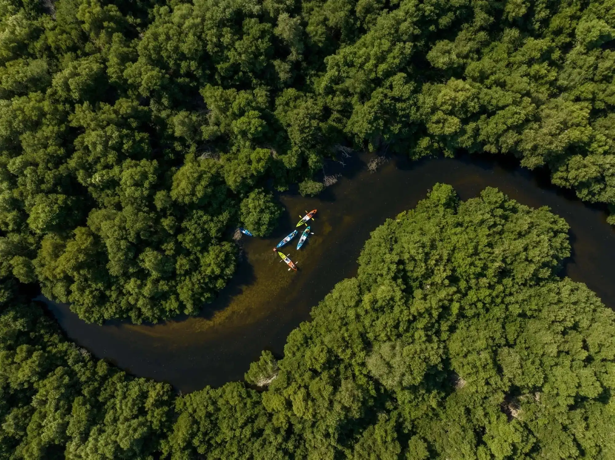 Al Zorah Mangrove Natural Reserve 
