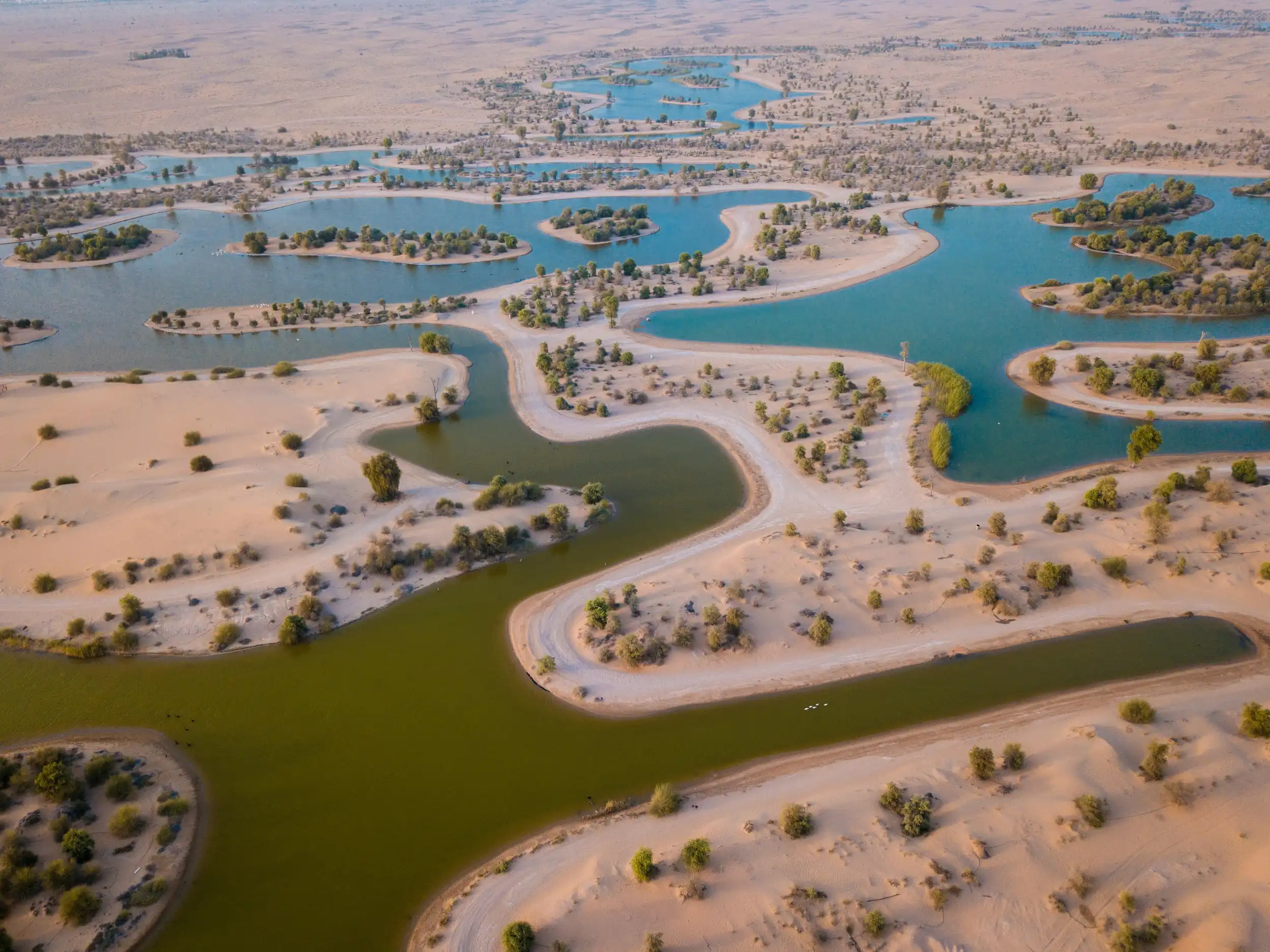 Al Qudra Lakes. Pexels