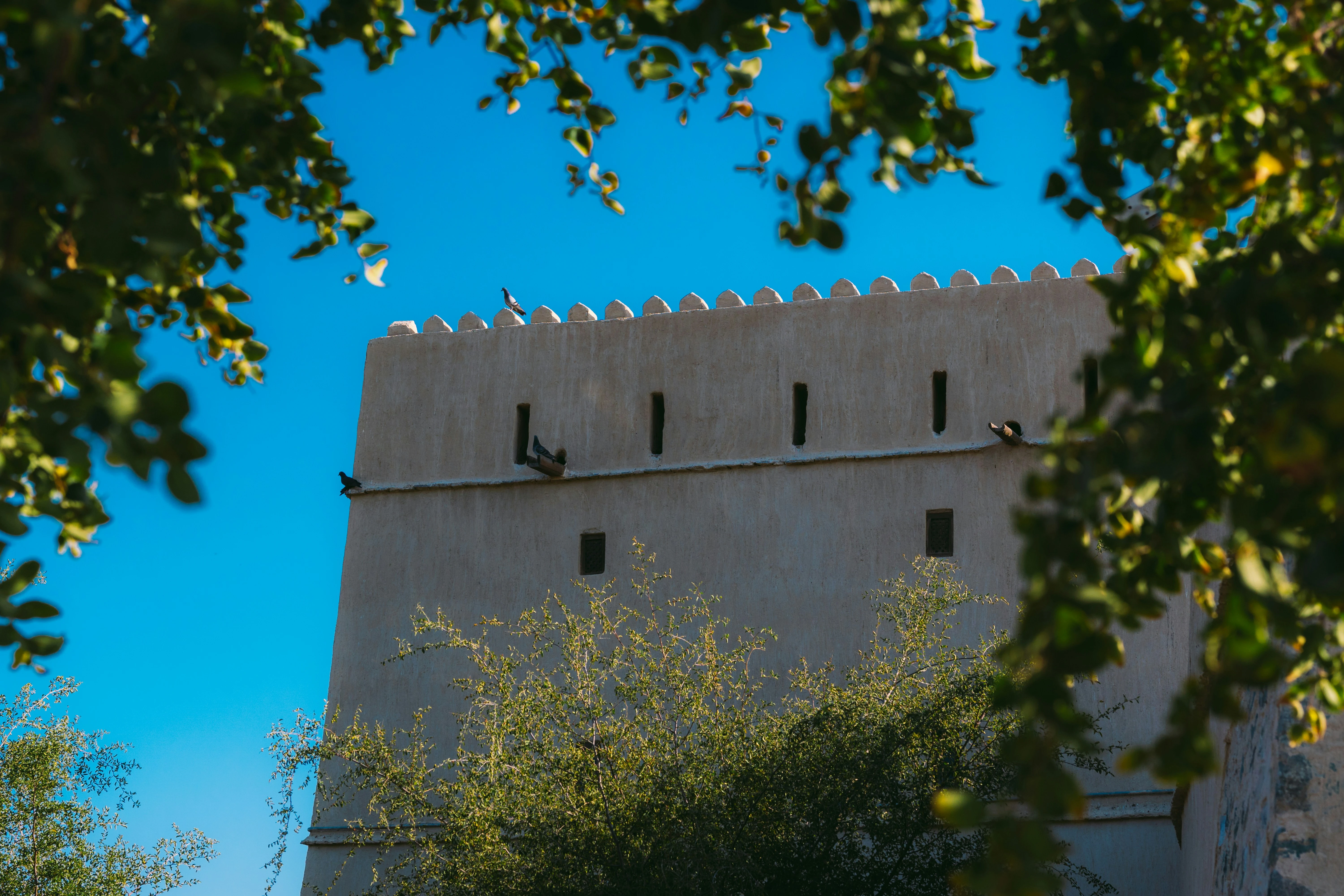 Hatta Heritage Village. Unsplash