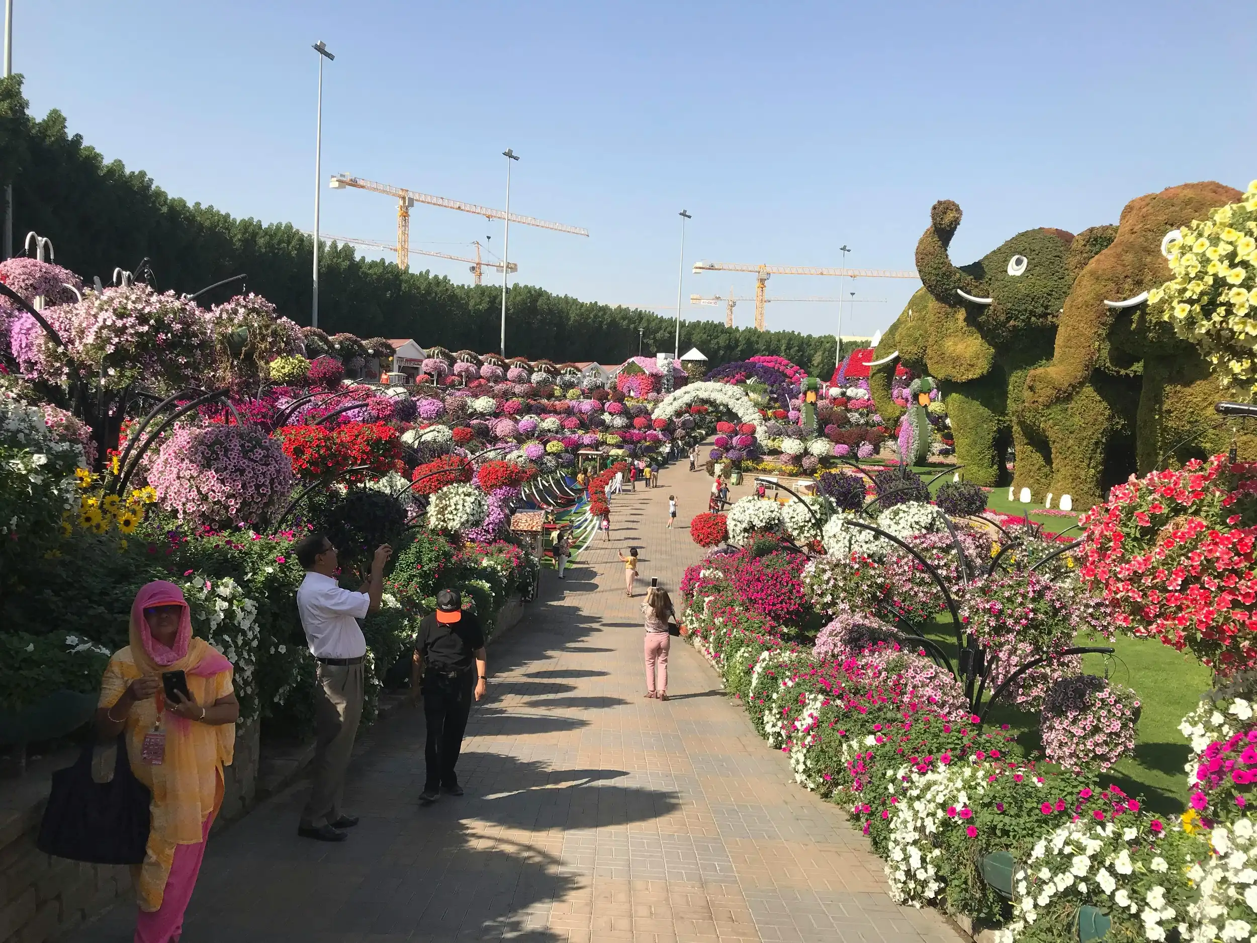 Dubai Miracle Garden. Pexels