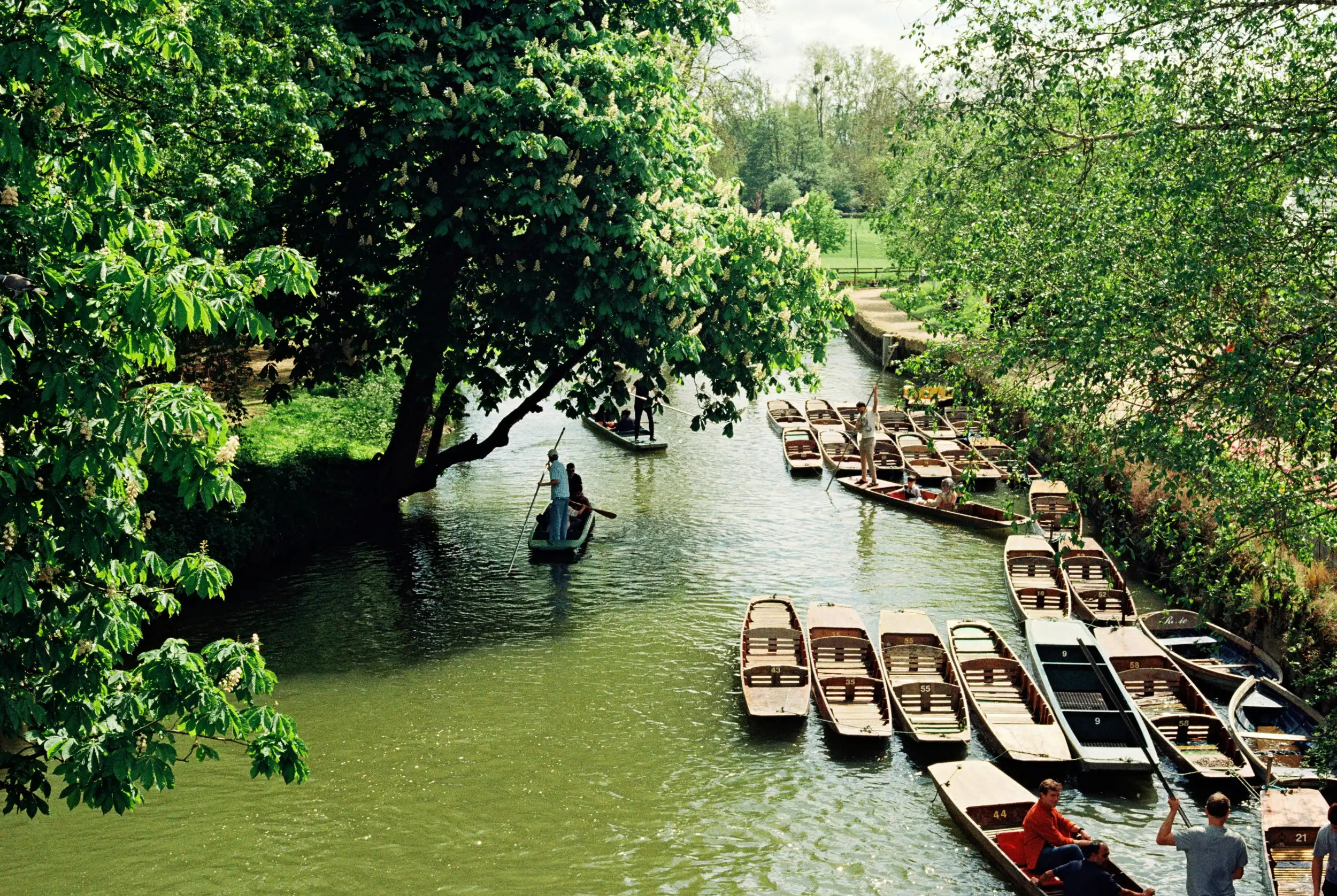 Punting in Oxford