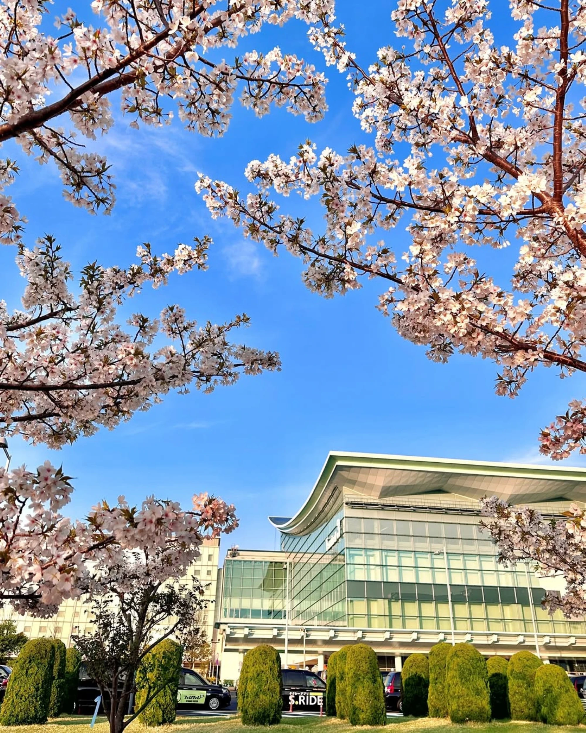 GCC jet-setters are exploring Japan's coolest summer escape