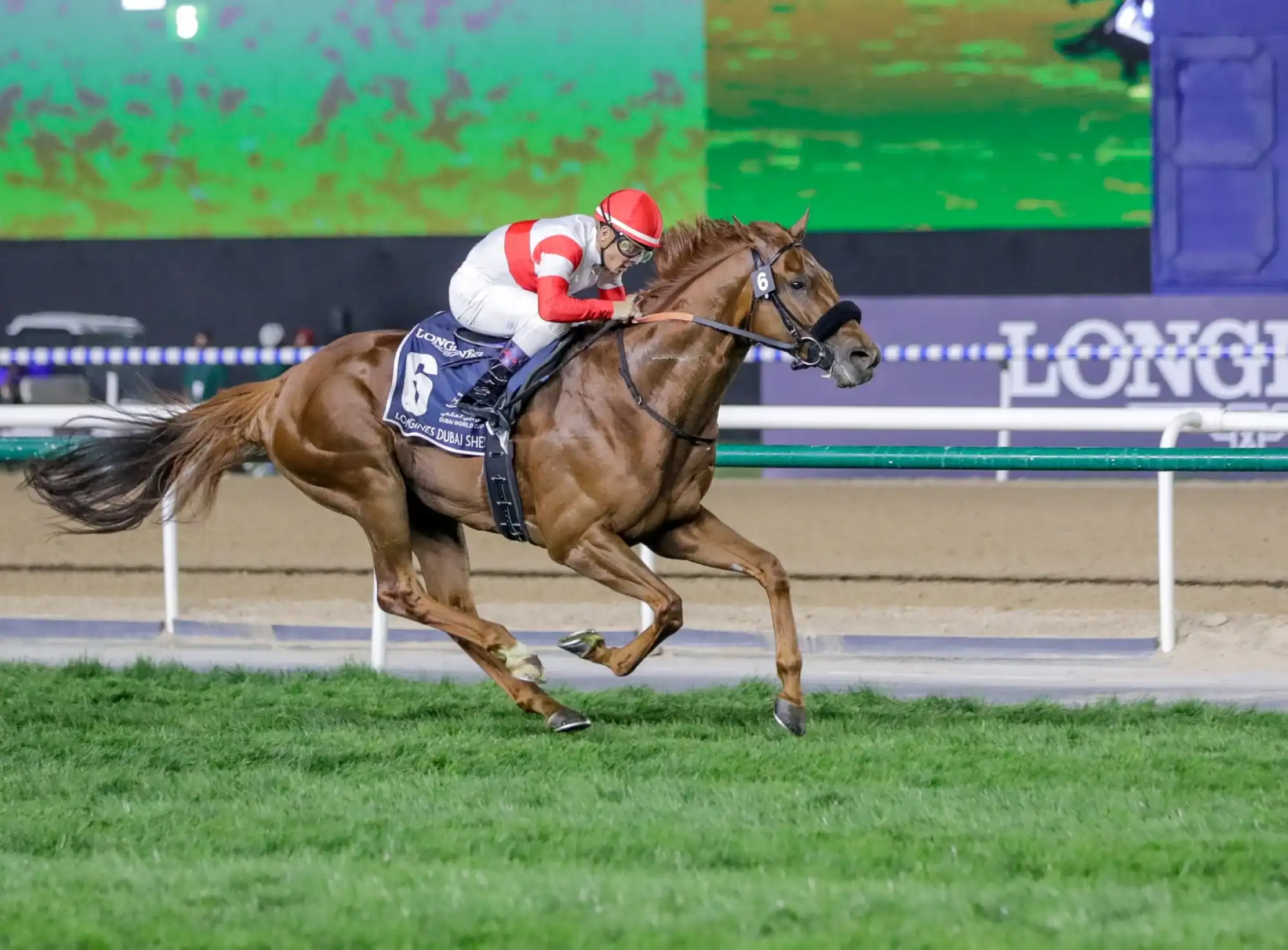 Horse racing in Dubai