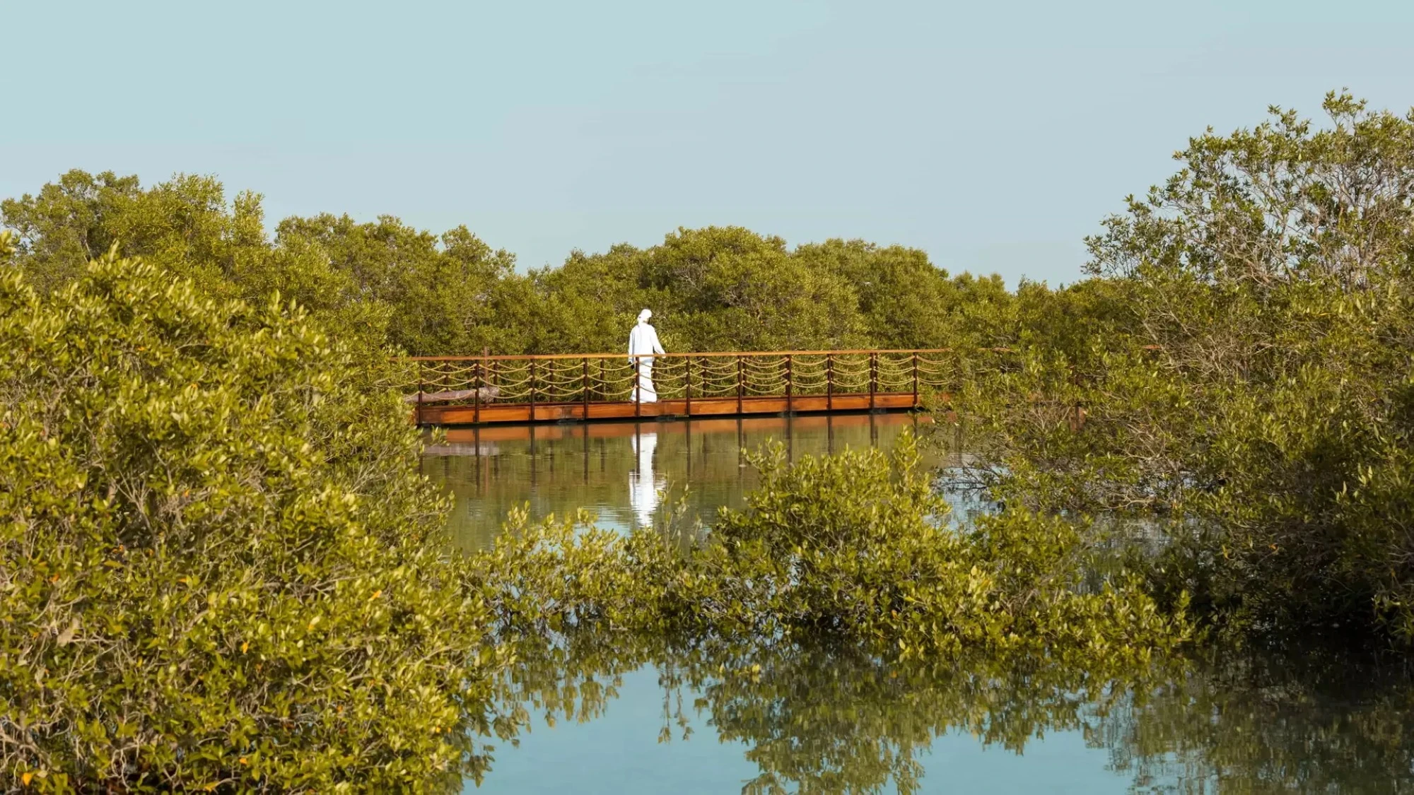Jubail Mangrove Park