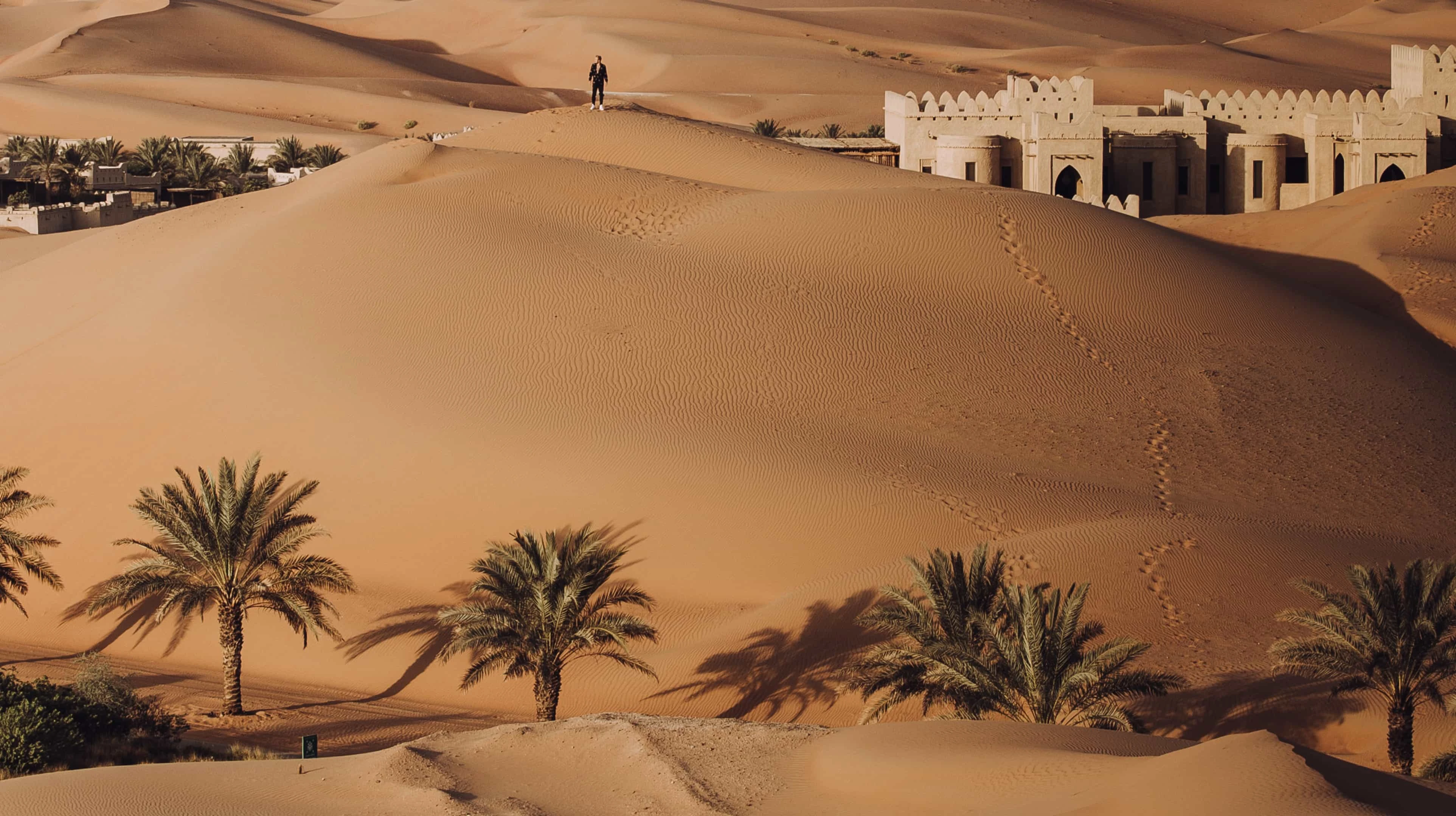 Liwa Oasis