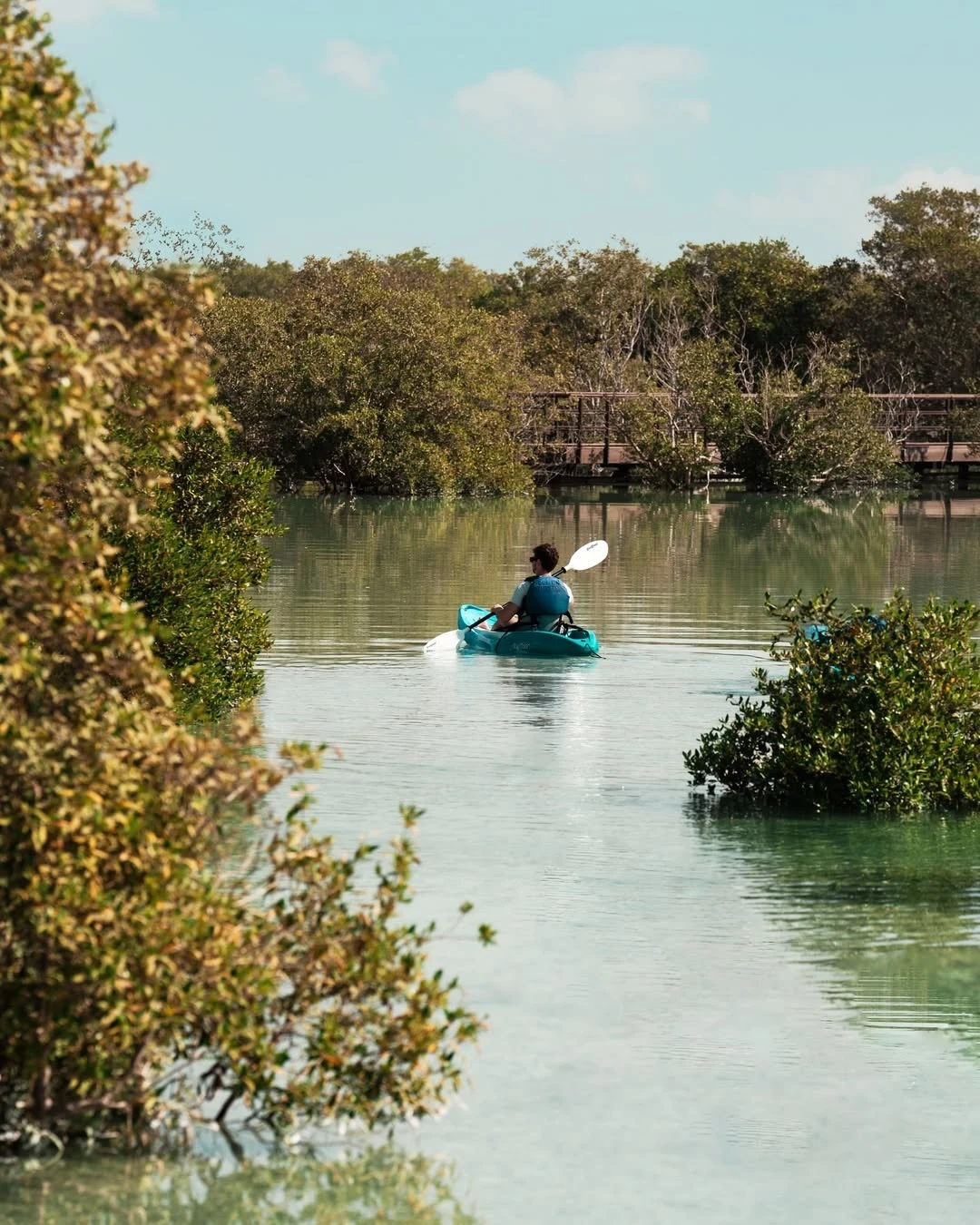 Kayaking through Jubail Mangrove Park