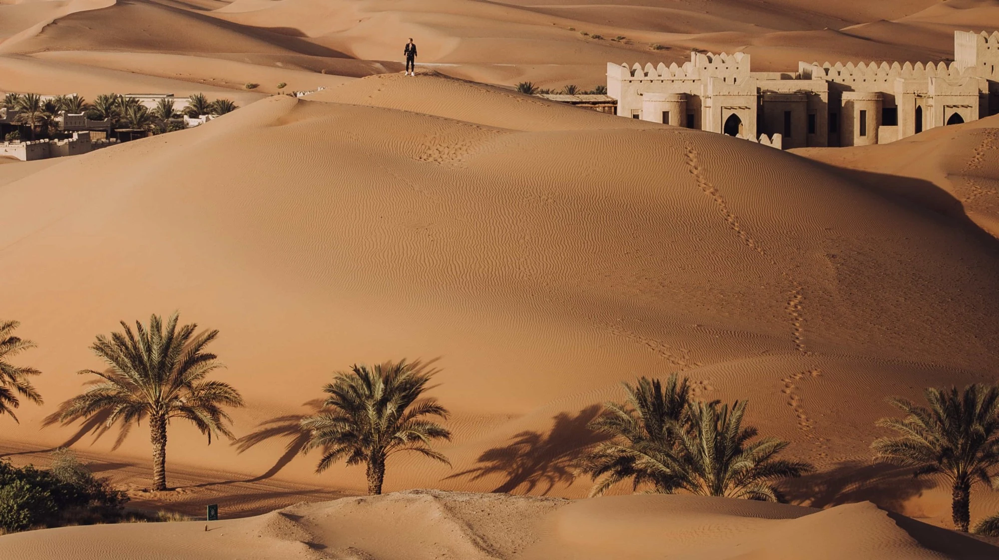 Liwa Oasis