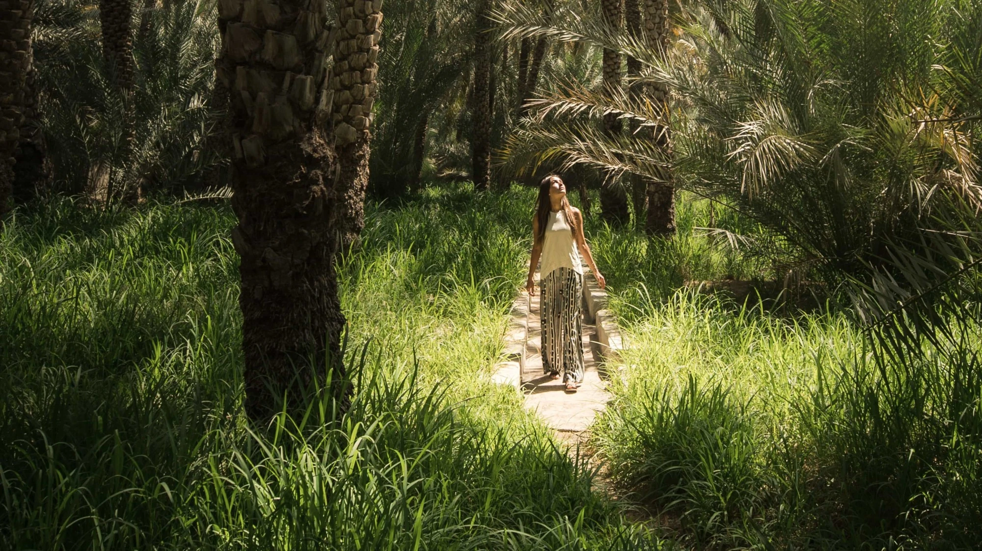 Al Ain Oasis 