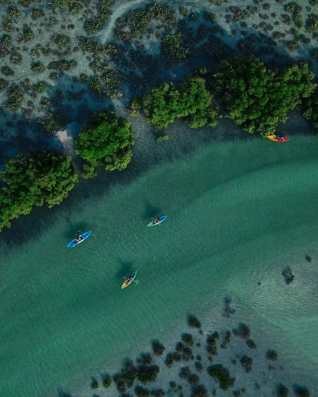 Jubail Mangrove Park 