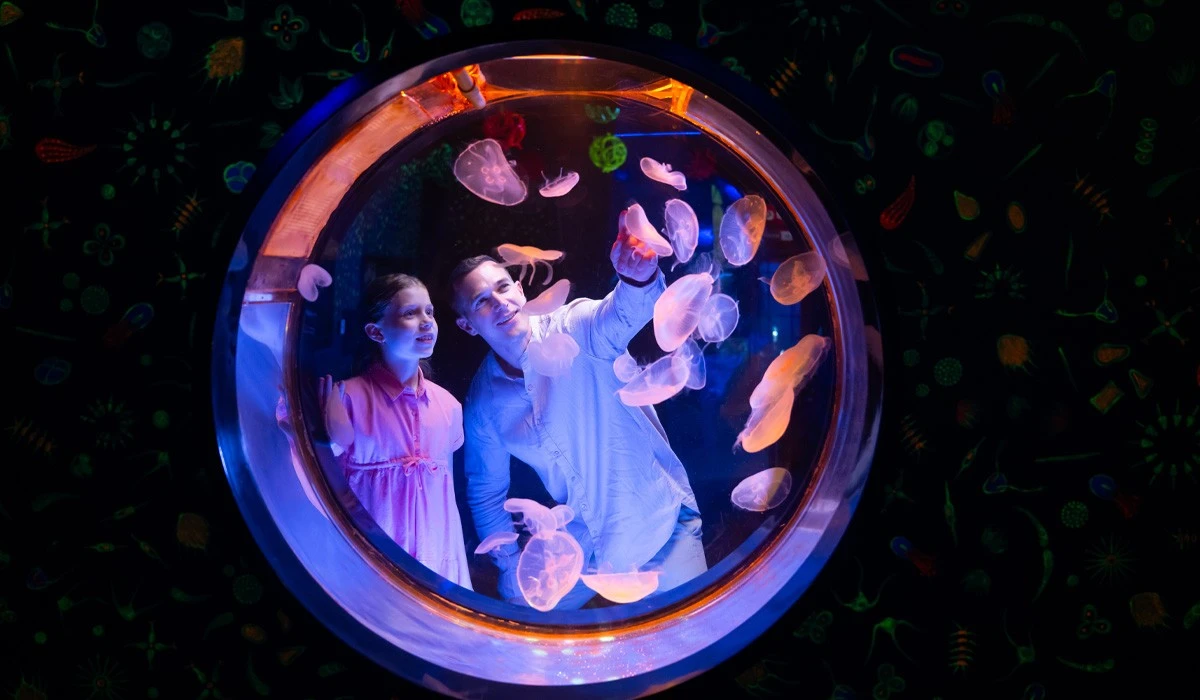 Abu Dhabi National Aquarium 