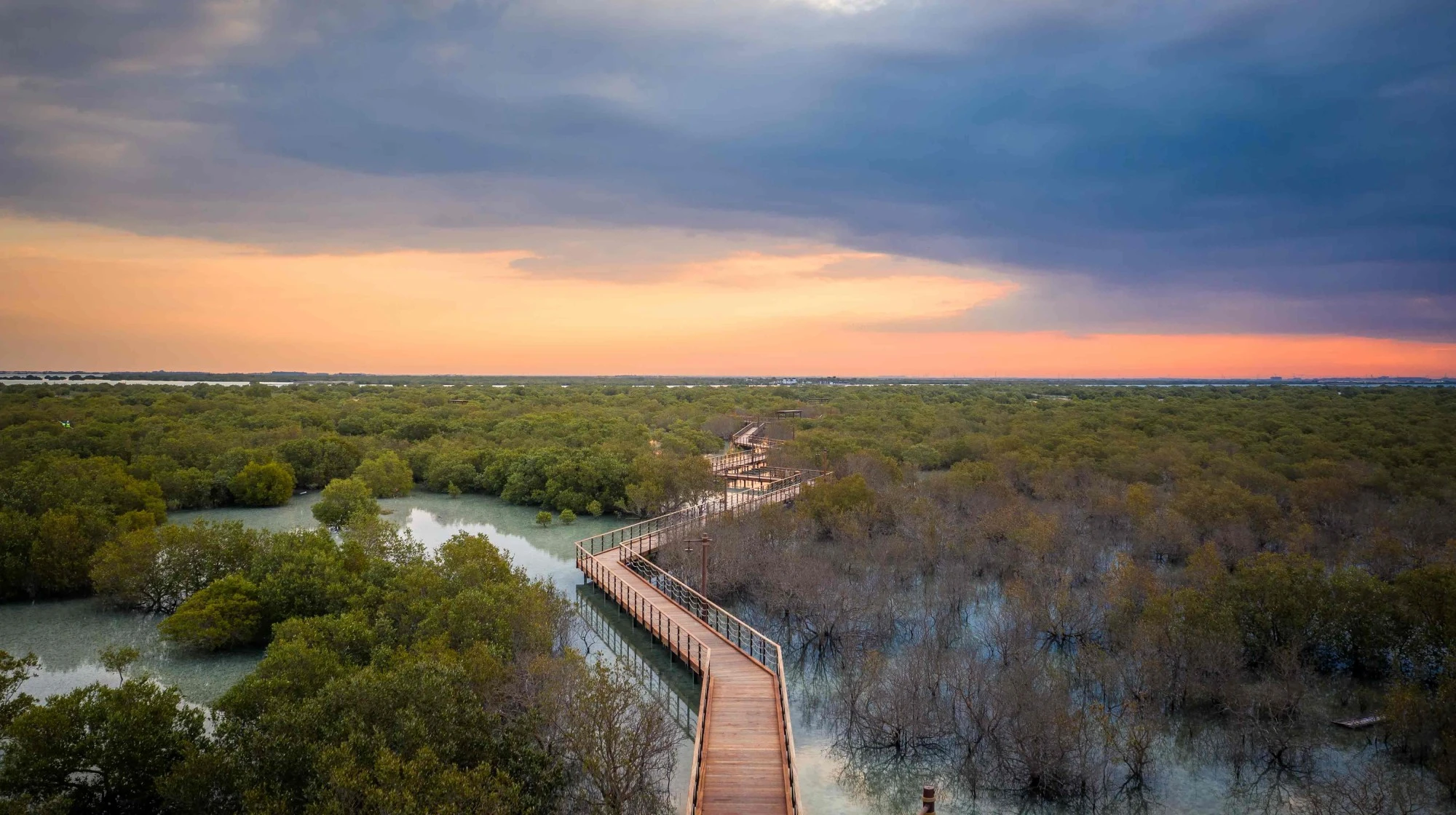 Jubail Mangrove Park 