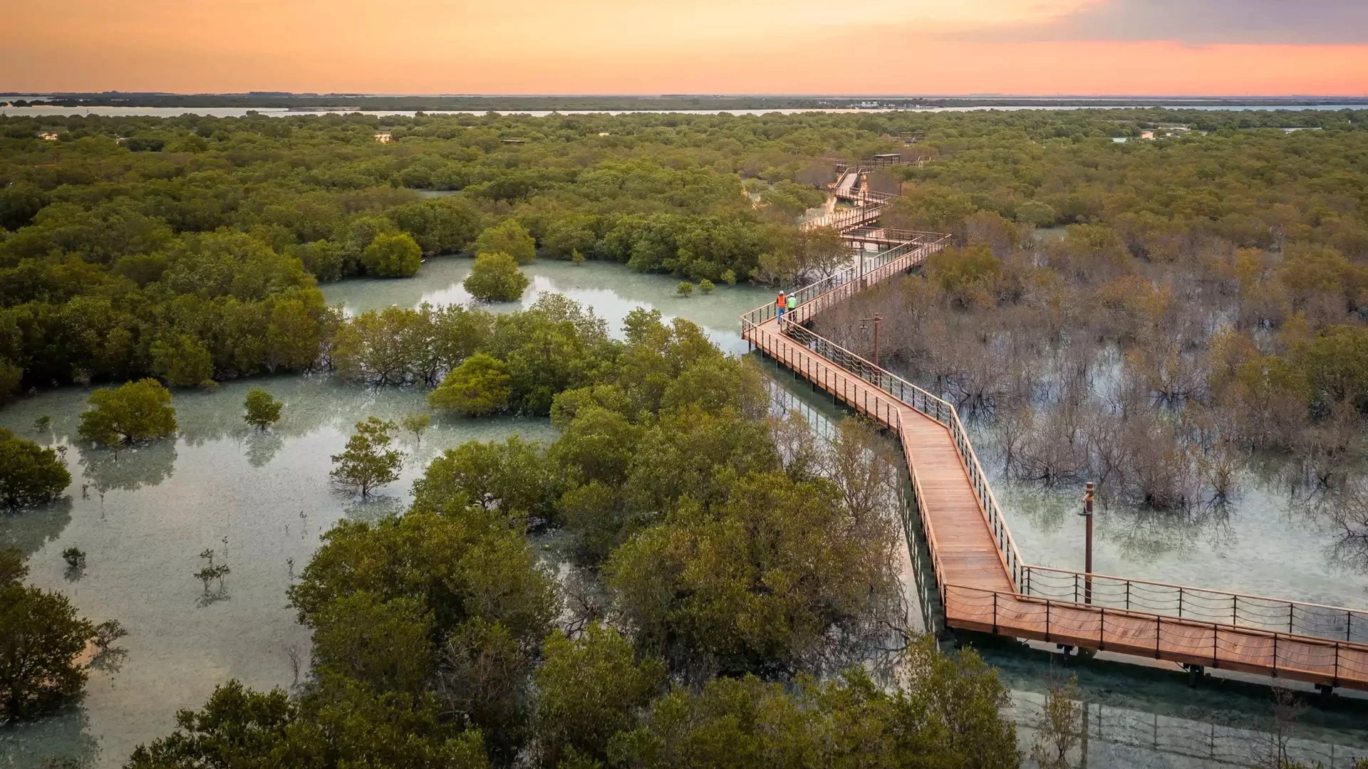 Jubail Mangrove Park 