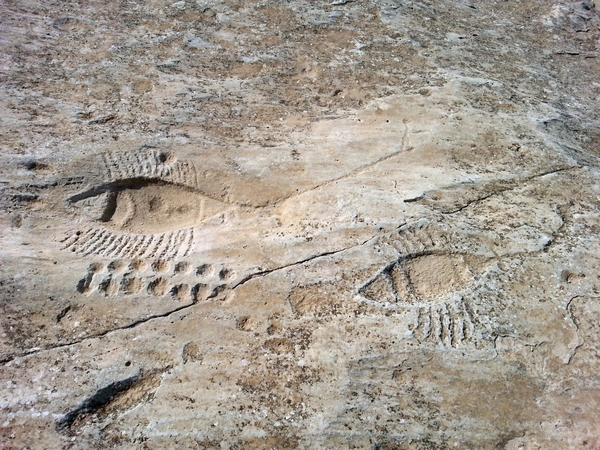 Rock carvings at Al Jassasiya