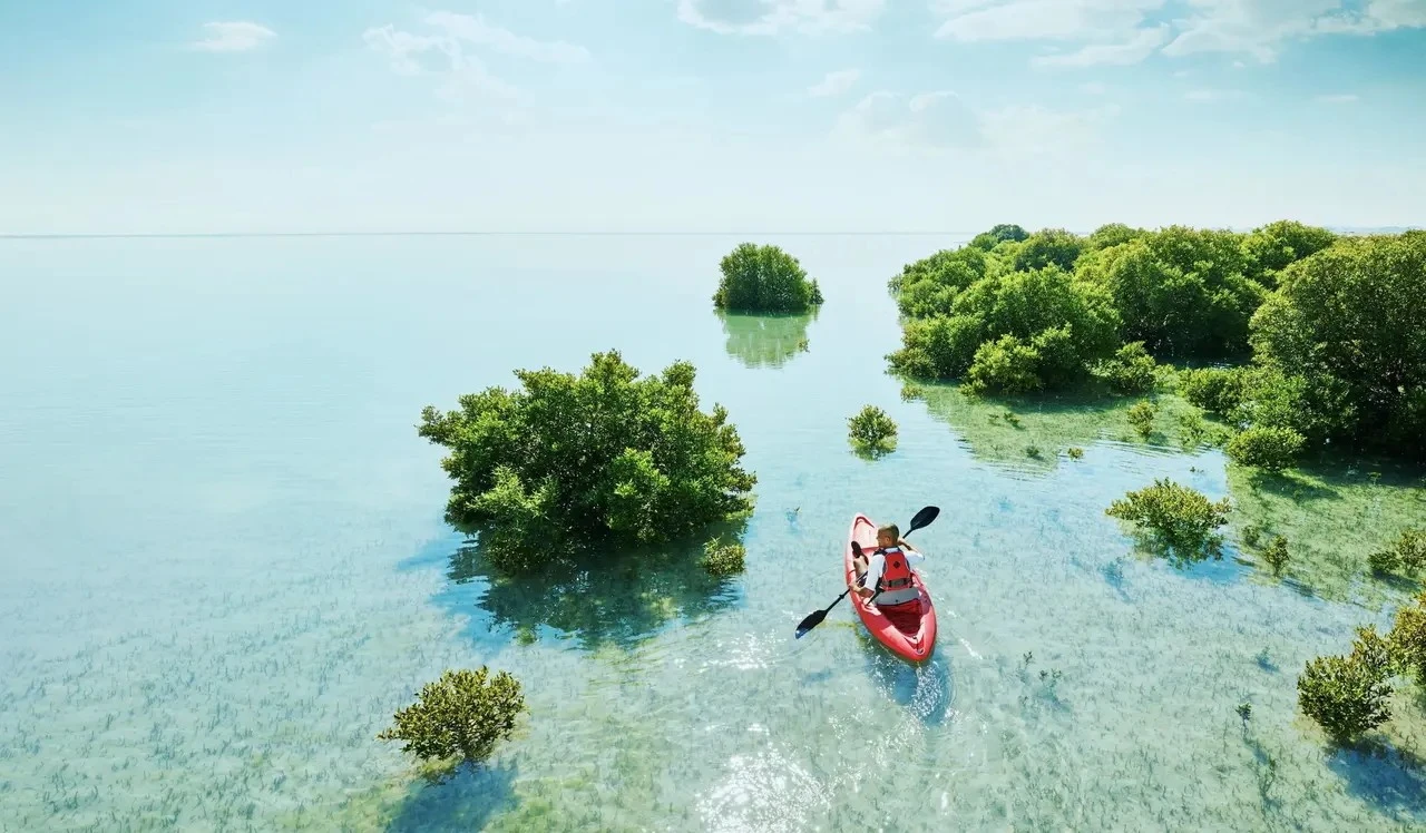 Al Thakira Mangroves