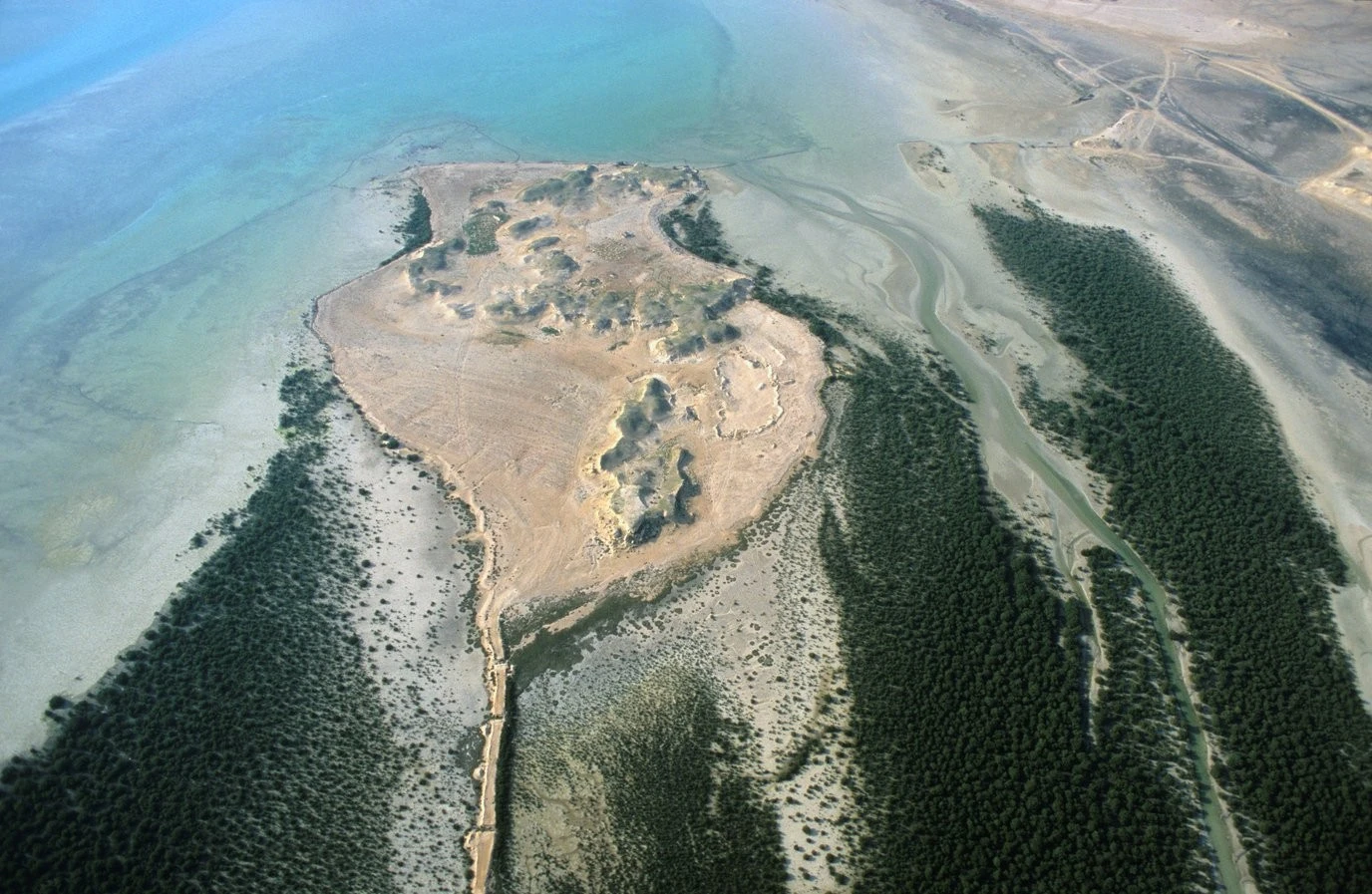 Purple Island in Qatar