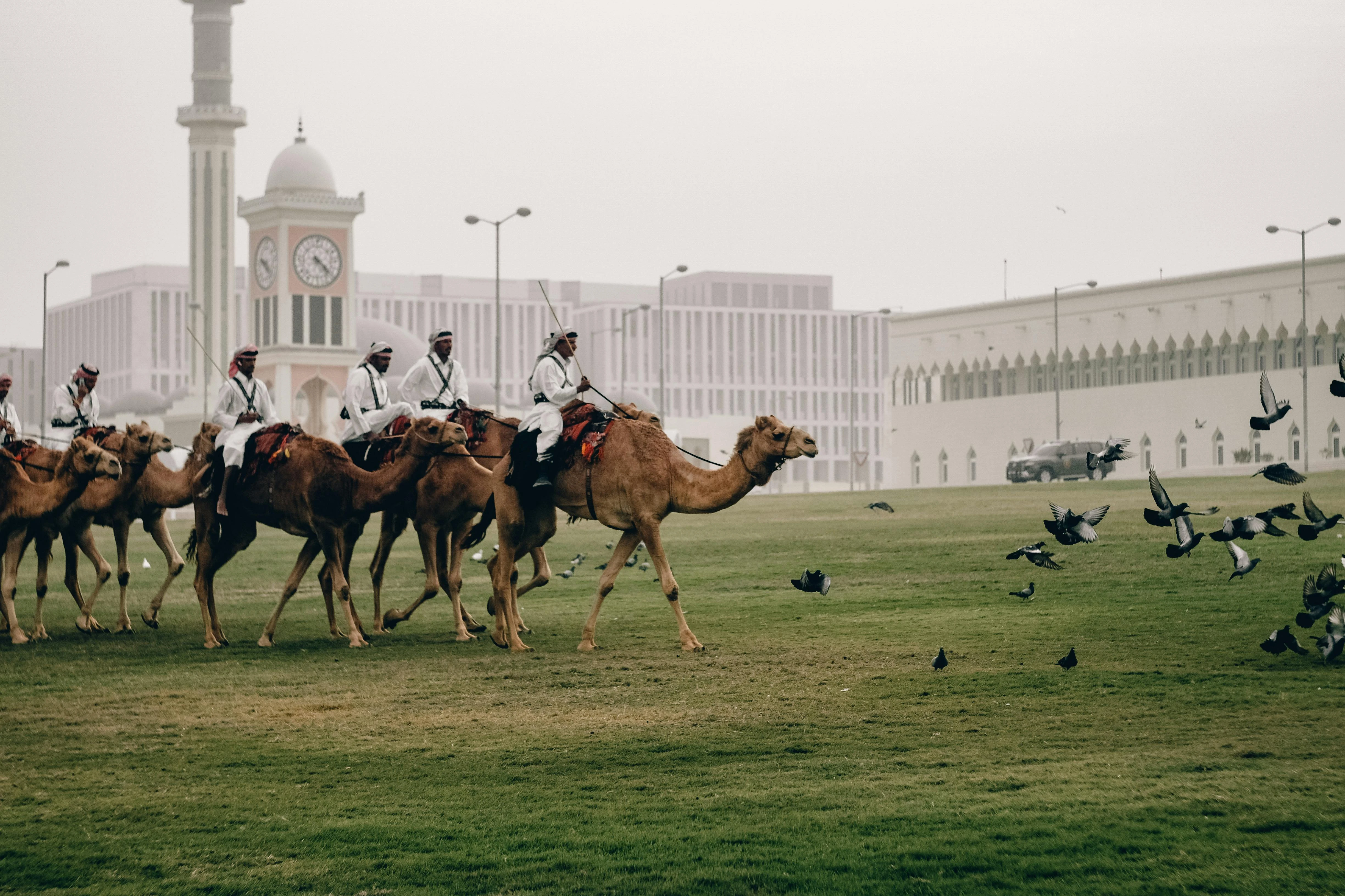 Amiri Diwan Camel Parade. Pexels