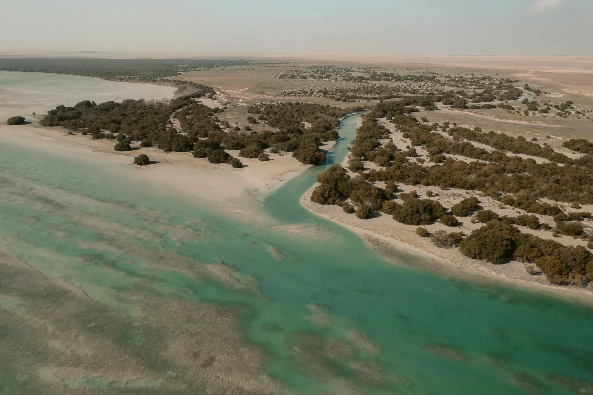 Al Thakhira Beach 