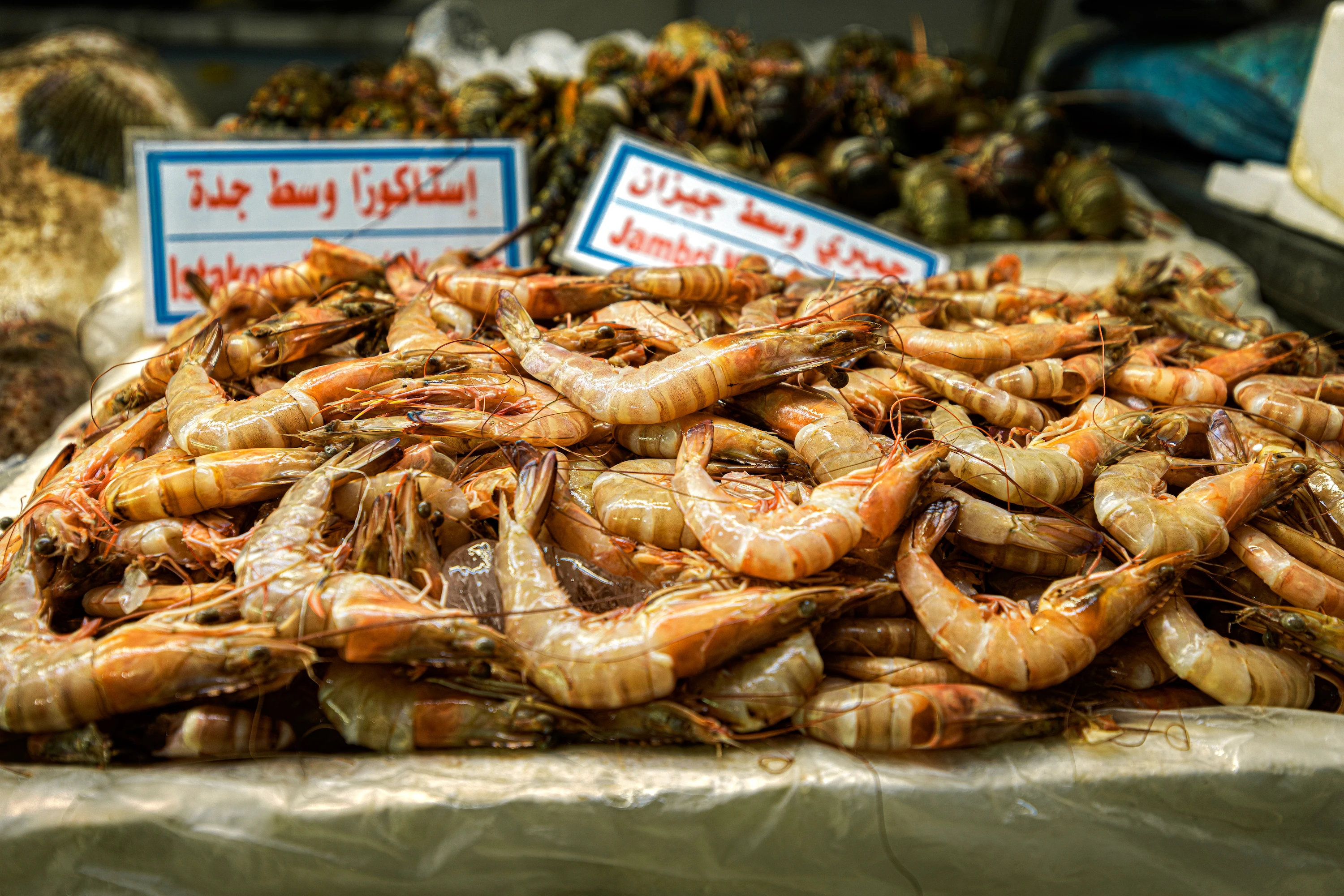 Enjoy top quality seafood at the Central Fish Market. STA