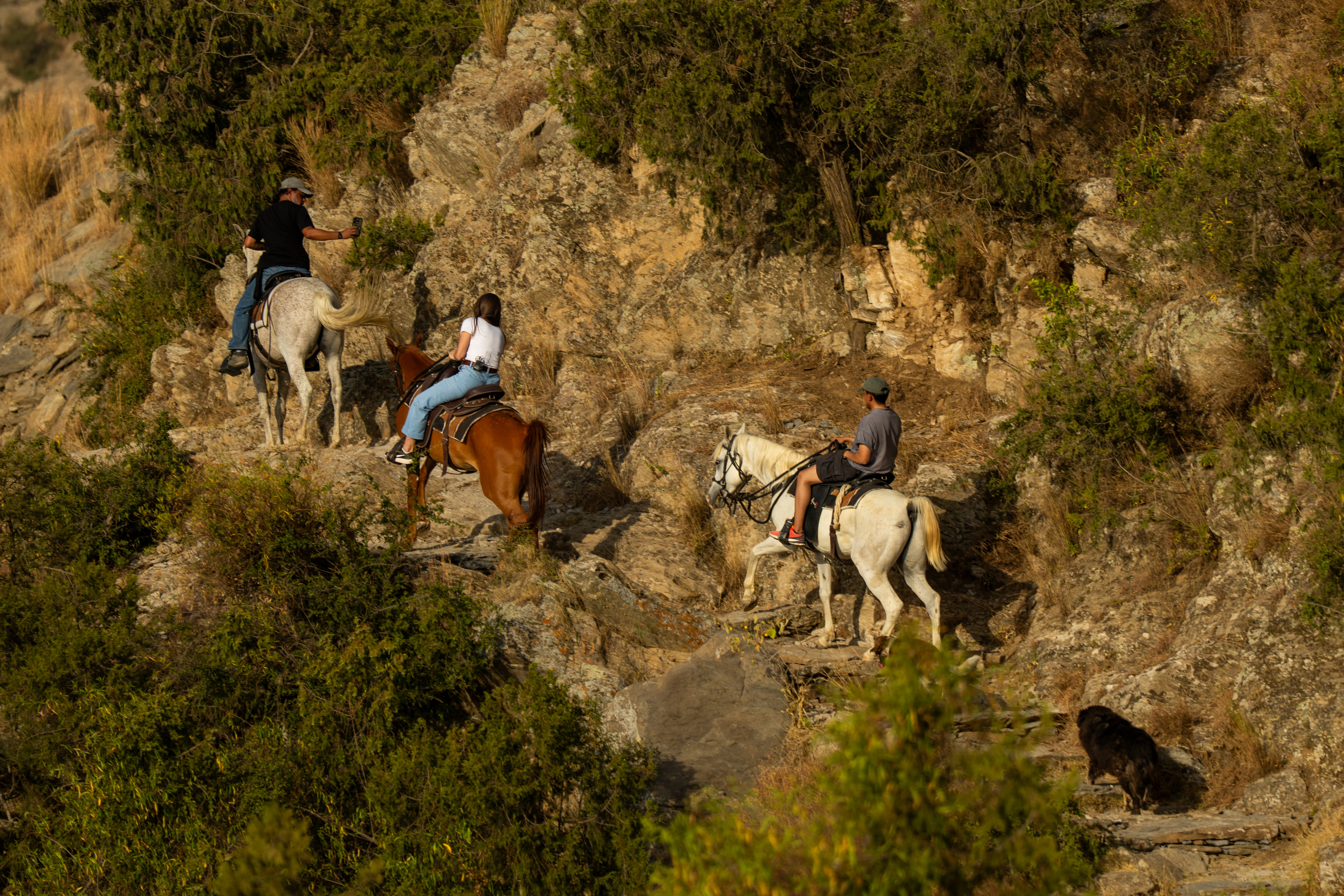 Horse riding through Al Haifa Park in Aseer