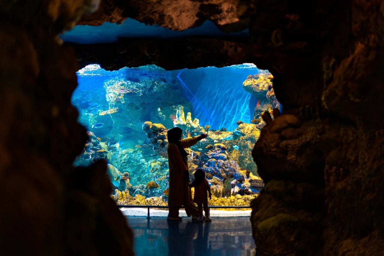 Mother and child staring at the underwater world at Fakieh Aquarium. STA