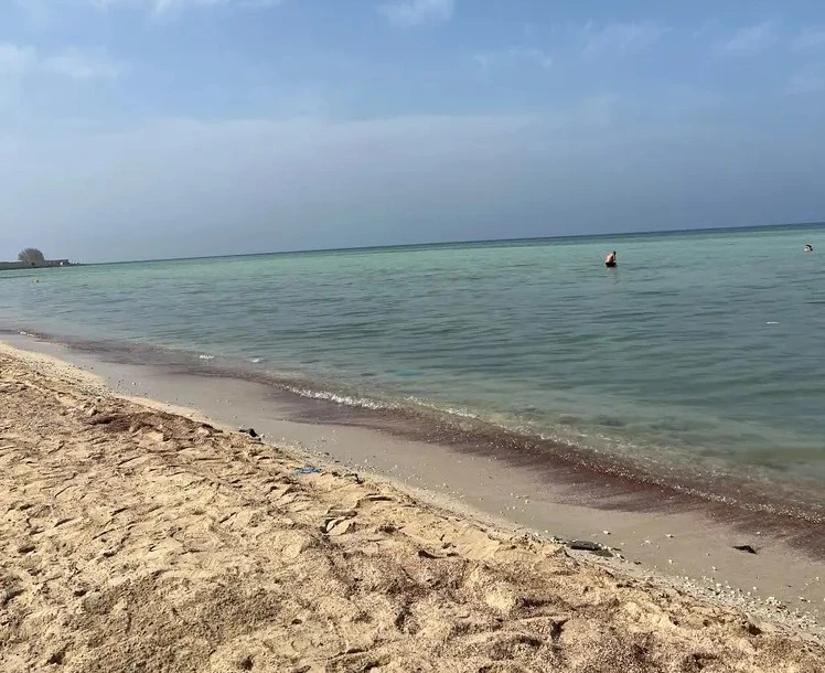 The warm shallow waters of Khaleej Salman 