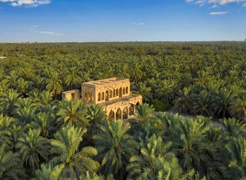 Al-Ahsa Oasis is the largest in the world. Shutterstock