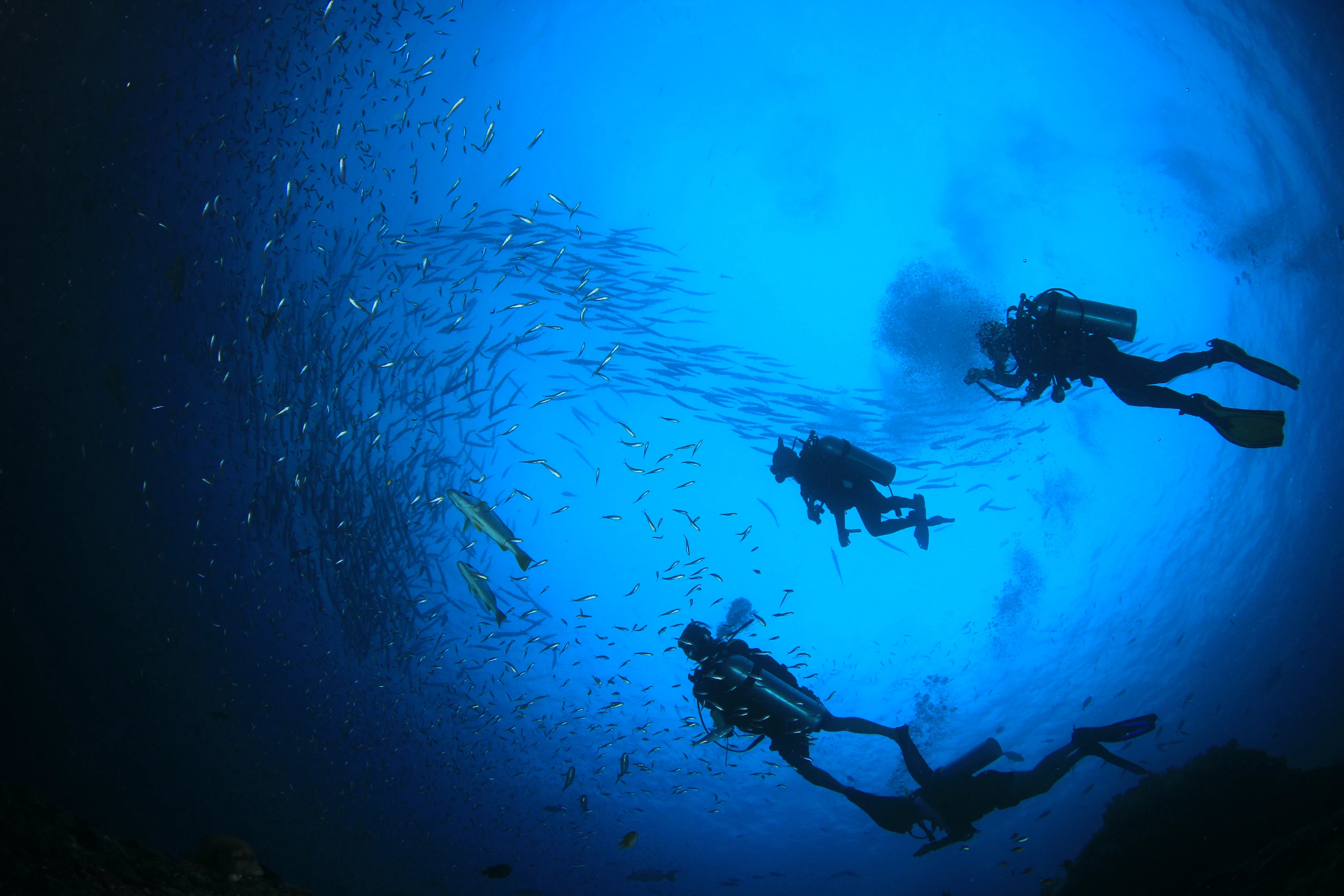 Jeddah has some incredible diving and snorkelling spots